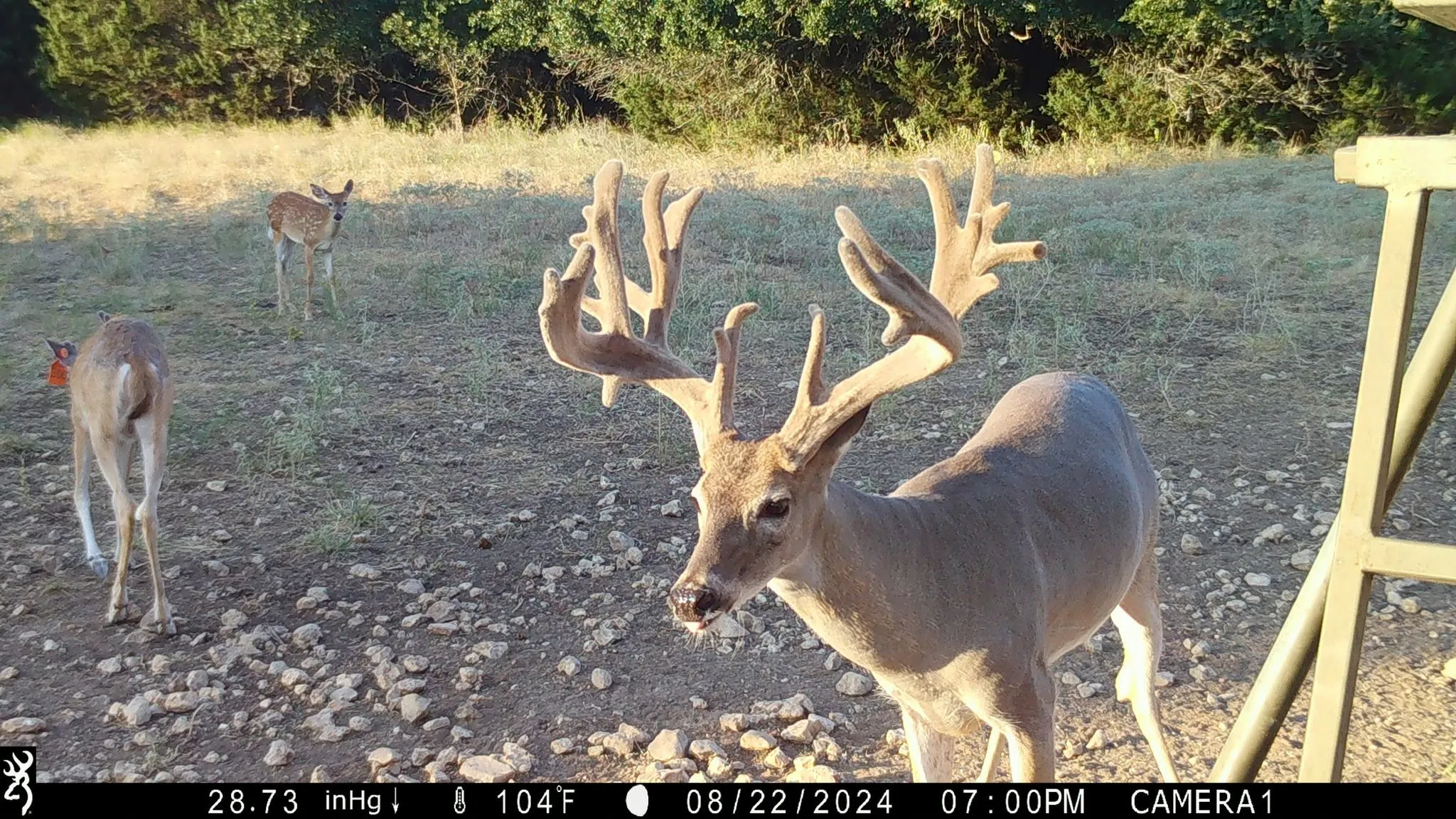 Unimproved Land For Sale in Bosque County , 201 Private Road 2123, Meridian, Texas 76665, 0, 0, Garage spaces, 0 Sqft, built in 0, mls#21374865, Real Estate Agent in Meridian, Homes For Sale in Bosque county, Homes For Sale in Meridian, Realtor in Meridian Texas, Real Estate Brokerage Independent Realty Texas, Luminita Cordes Realtor