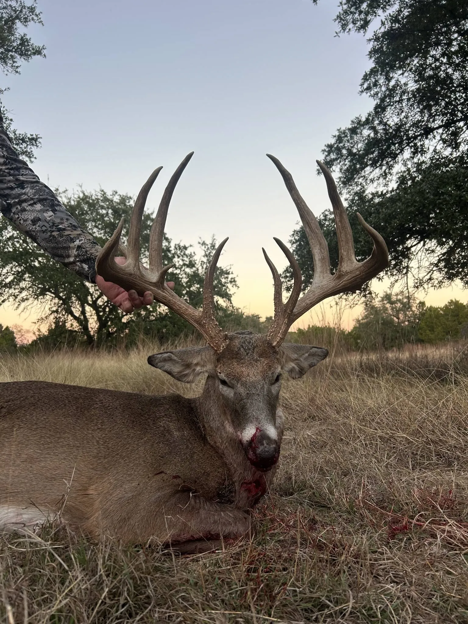 Unimproved Land For Sale in Bosque County , 201 Private Road 2123, Meridian, Texas 76665, 0, 0, Garage spaces, 0 Sqft, built in 0, mls#21374865, Real Estate Agent in Meridian, Homes For Sale in Bosque county, Homes For Sale in Meridian, Realtor in Meridian Texas, Real Estate Brokerage Independent Realty Texas, Luminita Cordes Realtor