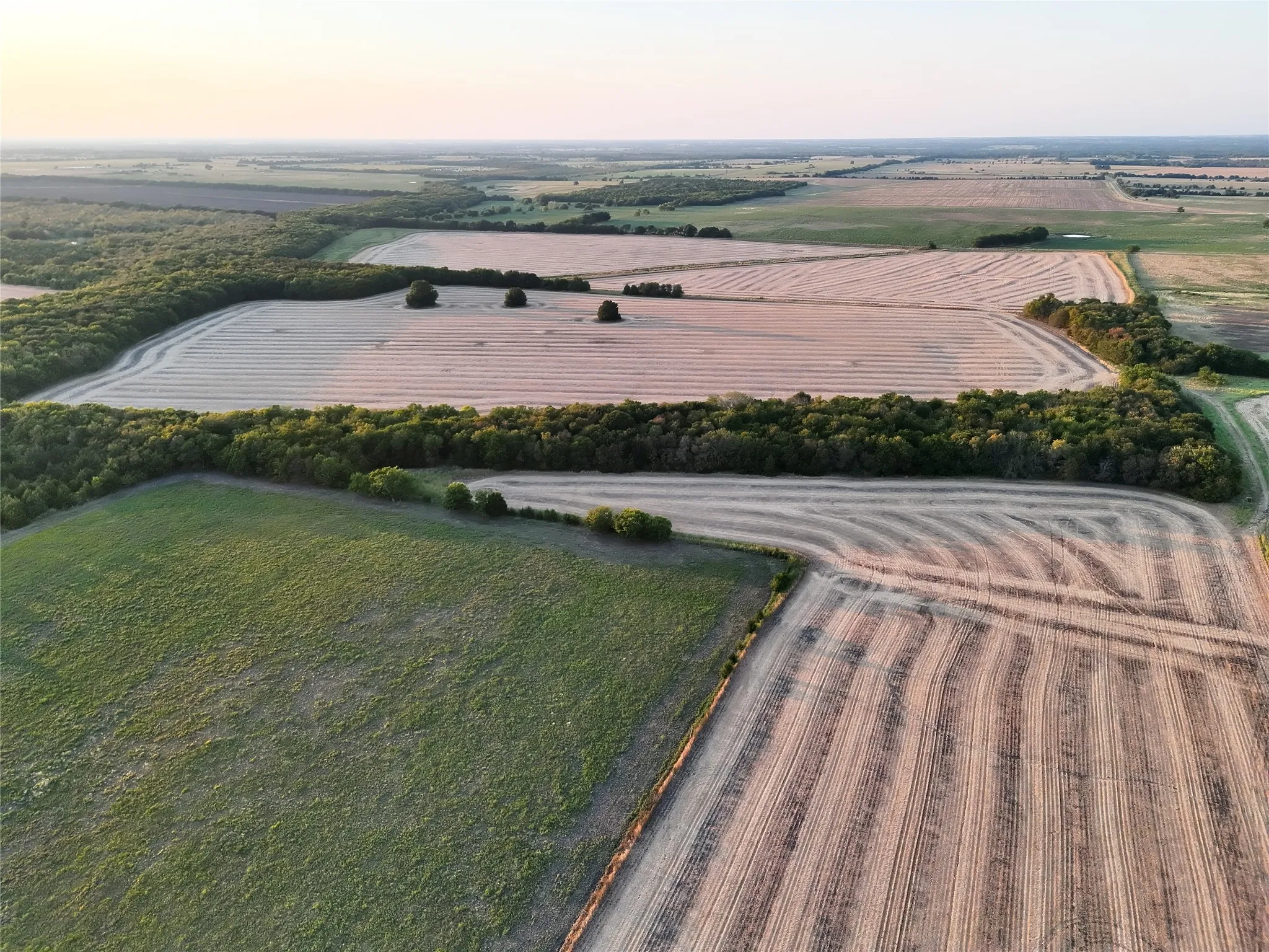 Unimproved Land For Sale in Delta County , 001 Fm 1530, Pecan Gap, Texas 75469, 0, 0, Garage spaces, 0 Sqft, built in 0, mls#21376759, Real Estate Agent in Pecan Gap, Homes For Sale in Delta county, Homes For Sale in Pecan Gap, Realtor in Pecan Gap Texas, Real Estate Brokerage Independent Realty Texas, Luminita Cordes Realtor