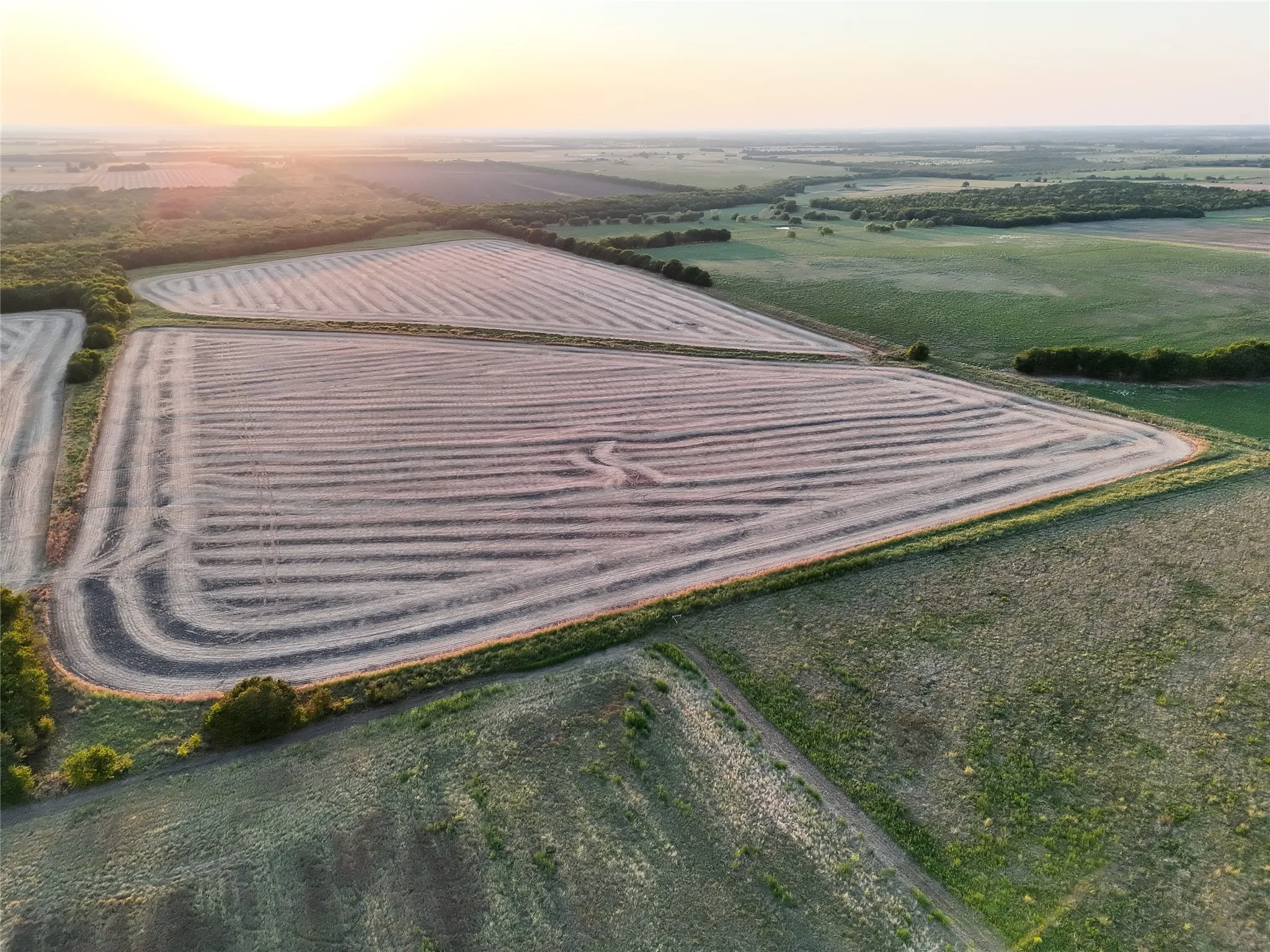 Unimproved Land For Sale in Delta County , 001 Fm 1530, Pecan Gap, Texas 75469, 0, 0, Garage spaces, 0 Sqft, built in 0, mls#21376759, Real Estate Agent in Pecan Gap, Homes For Sale in Delta county, Homes For Sale in Pecan Gap, Realtor in Pecan Gap Texas, Real Estate Brokerage Independent Realty Texas, Luminita Cordes Realtor