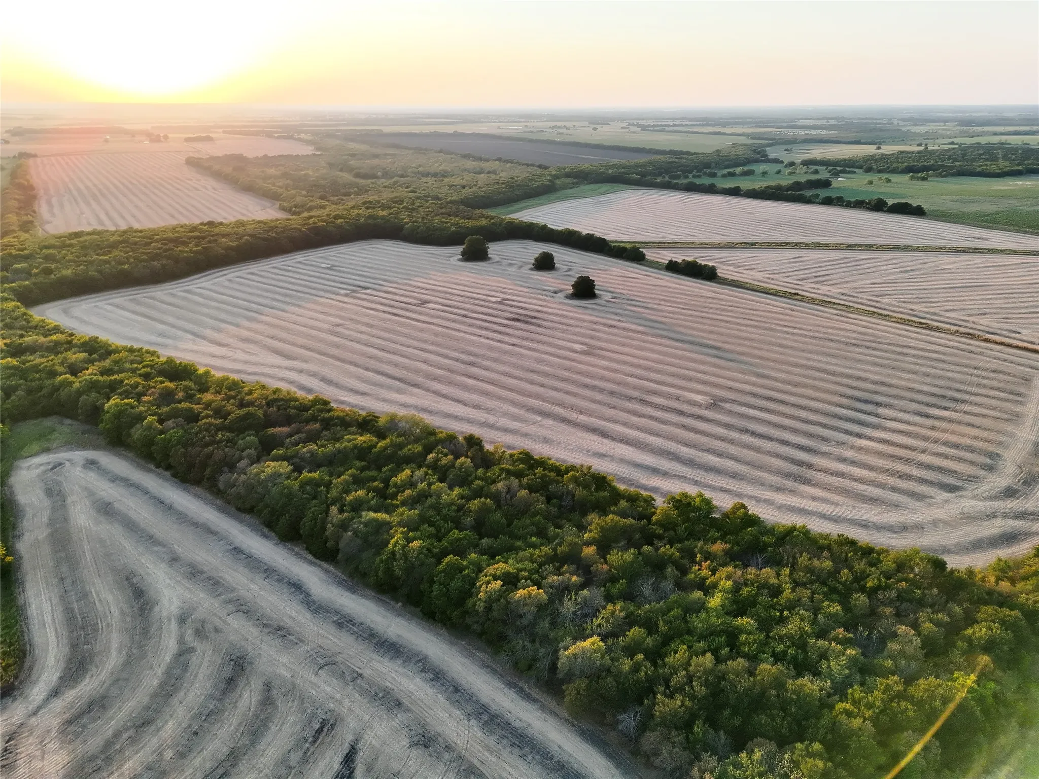 Unimproved Land For Sale in Delta County , 001 Fm 1530, Pecan Gap, Texas 75469, 0, 0, Garage spaces, 0 Sqft, built in 0, mls#21376759, Real Estate Agent in Pecan Gap, Homes For Sale in Delta county, Homes For Sale in Pecan Gap, Realtor in Pecan Gap Texas, Real Estate Brokerage Independent Realty Texas, Luminita Cordes Realtor