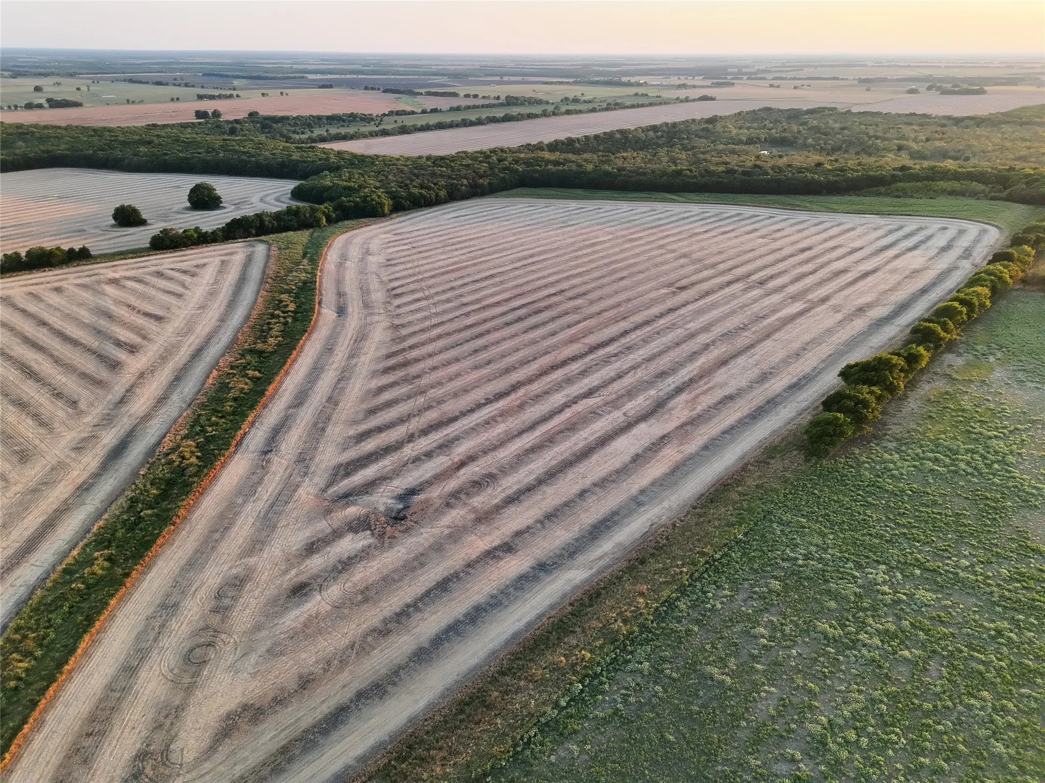 Unimproved Land For Sale in Delta County , 001 Fm 1530, Pecan Gap, Texas 75469, 0, 0, Garage spaces, 0 Sqft, built in 0, mls#21376759, Real Estate Agent in Pecan Gap, Homes For Sale in Delta county, Homes For Sale in Pecan Gap, Realtor in Pecan Gap Texas, Real Estate Brokerage Independent Realty Texas, Luminita Cordes Realtor