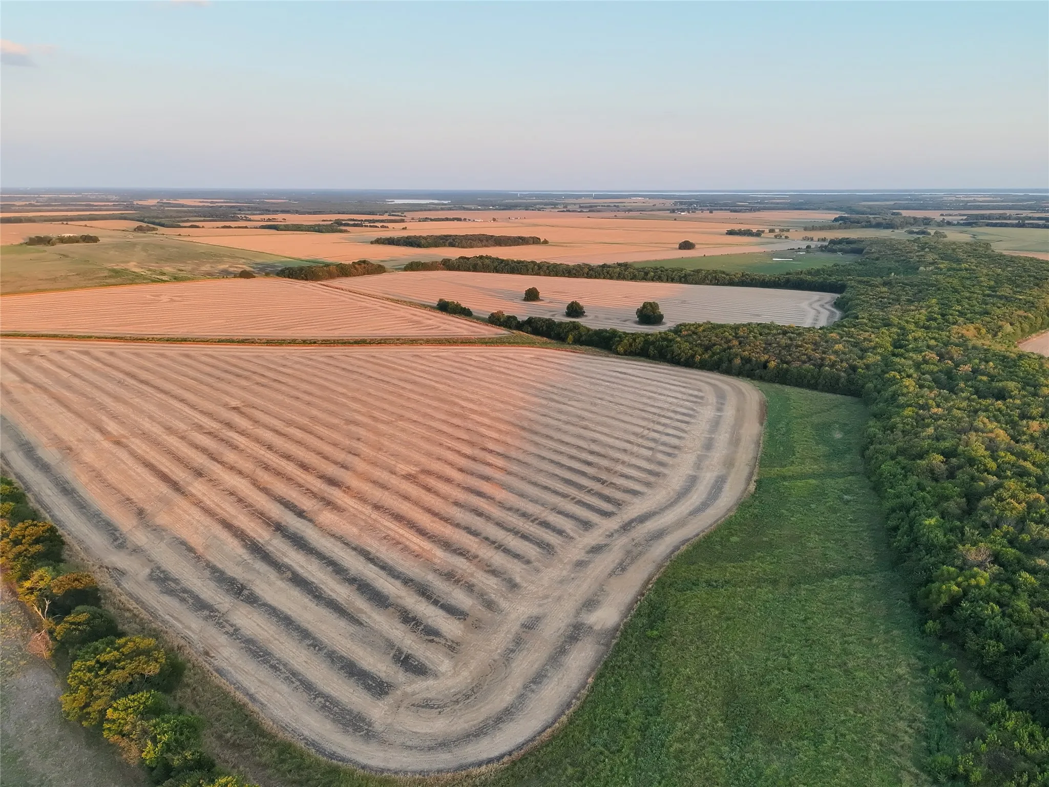 Unimproved Land For Sale in Delta County , 001 Fm 1530, Pecan Gap, Texas 75469, 0, 0, Garage spaces, 0 Sqft, built in 0, mls#21376759, Real Estate Agent in Pecan Gap, Homes For Sale in Delta county, Homes For Sale in Pecan Gap, Realtor in Pecan Gap Texas, Real Estate Brokerage Independent Realty Texas, Luminita Cordes Realtor