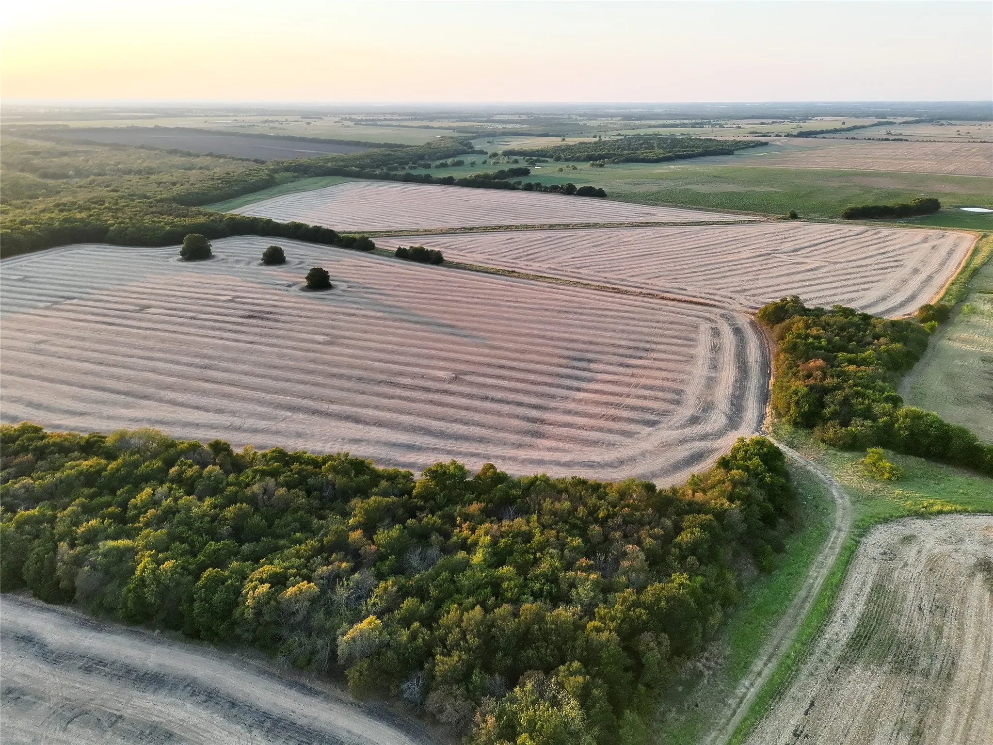 Unimproved Land For Sale in Delta County , 001 Fm 1530, Pecan Gap, Texas 75469, 0, 0, Garage spaces, 0 Sqft, built in 0, mls#21376759, Real Estate Agent in Pecan Gap, Homes For Sale in Delta county, Homes For Sale in Pecan Gap, Realtor in Pecan Gap Texas, Real Estate Brokerage Independent Realty Texas, Luminita Cordes Realtor