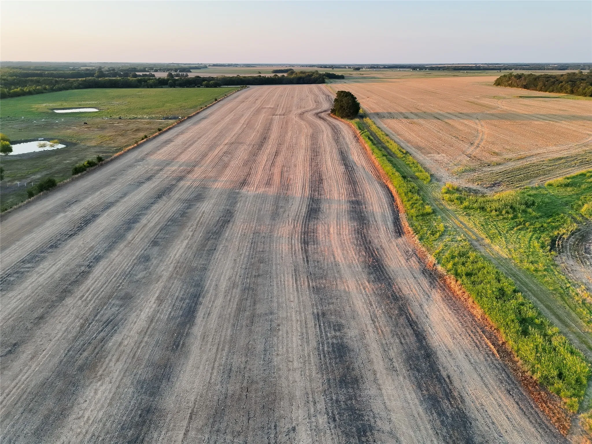 Unimproved Land For Sale in Delta County , 001 Fm 1530, Pecan Gap, Texas 75469, 0, 0, Garage spaces, 0 Sqft, built in 0, mls#21376759, Real Estate Agent in Pecan Gap, Homes For Sale in Delta county, Homes For Sale in Pecan Gap, Realtor in Pecan Gap Texas, Real Estate Brokerage Independent Realty Texas, Luminita Cordes Realtor