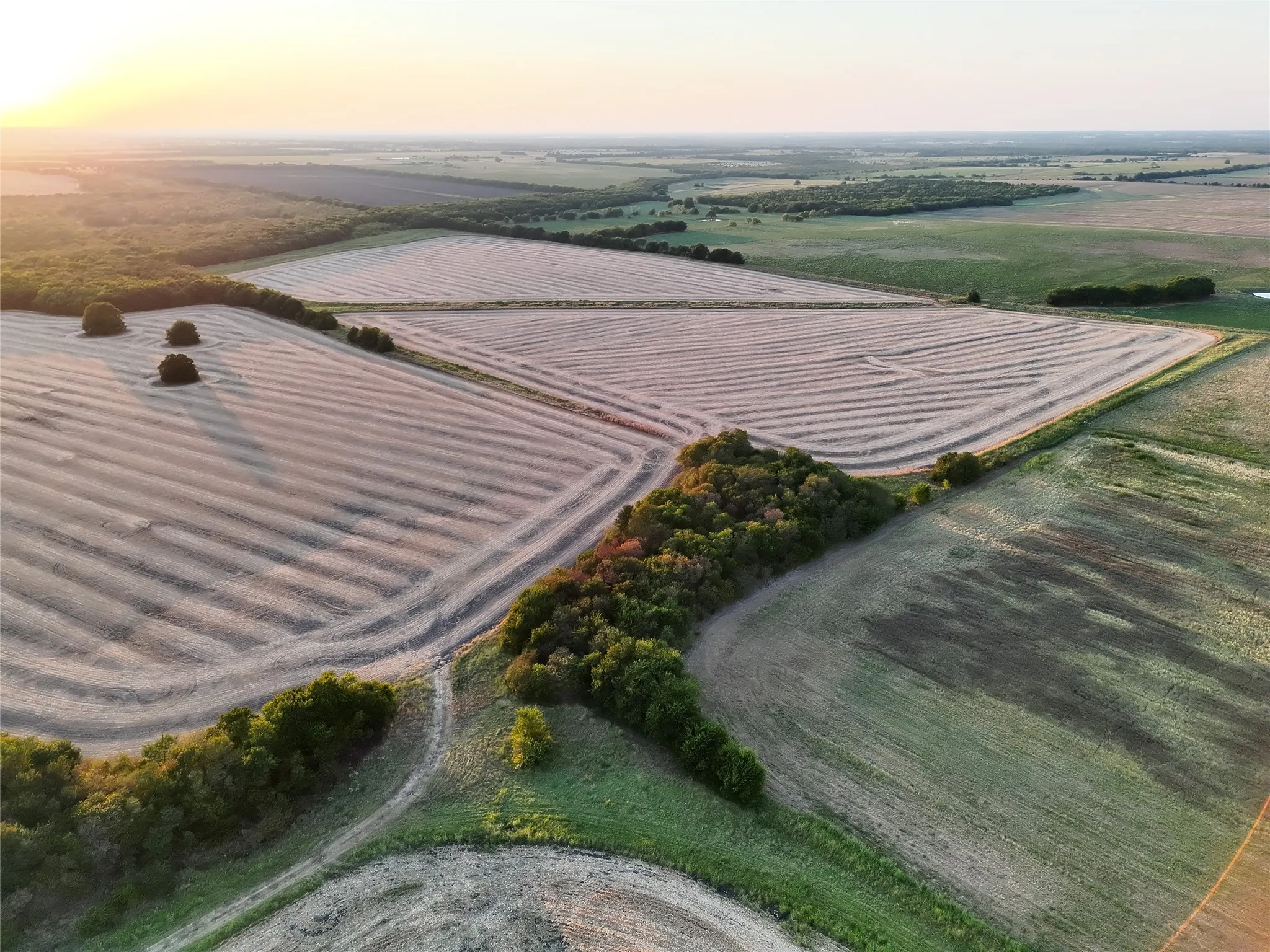 Unimproved Land For Sale in Delta County , 001 Fm 1530, Pecan Gap, Texas 75469, 0, 0, Garage spaces, 0 Sqft, built in 0, mls#21376759, Real Estate Agent in Pecan Gap, Homes For Sale in Delta county, Homes For Sale in Pecan Gap, Realtor in Pecan Gap Texas, Real Estate Brokerage Independent Realty Texas, Luminita Cordes Realtor