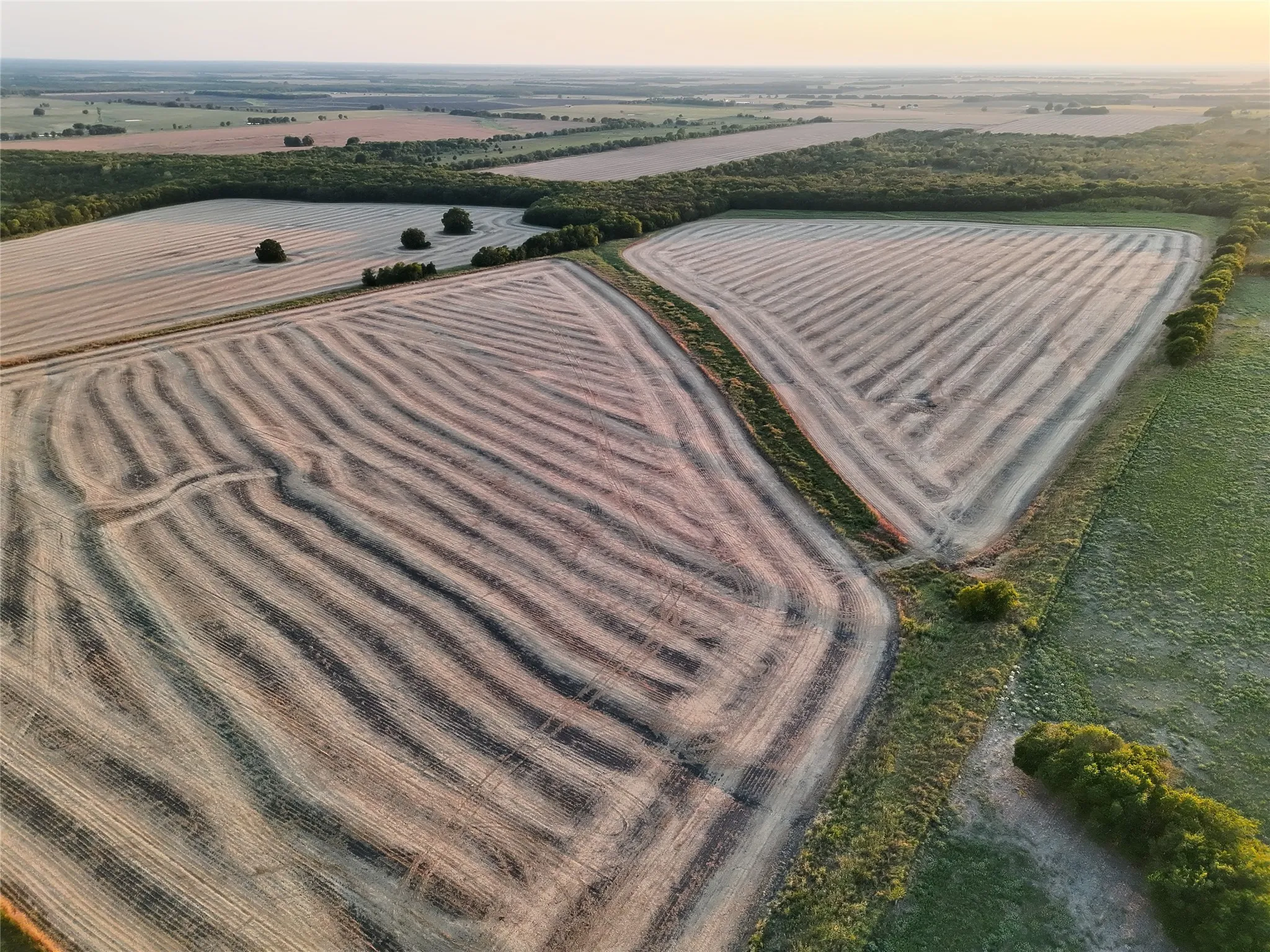 Unimproved Land For Sale in Delta County , 001 Fm 1530, Pecan Gap, Texas 75469, 0, 0, Garage spaces, 0 Sqft, built in 0, mls#21376759, Real Estate Agent in Pecan Gap, Homes For Sale in Delta county, Homes For Sale in Pecan Gap, Realtor in Pecan Gap Texas, Real Estate Brokerage Independent Realty Texas, Luminita Cordes Realtor