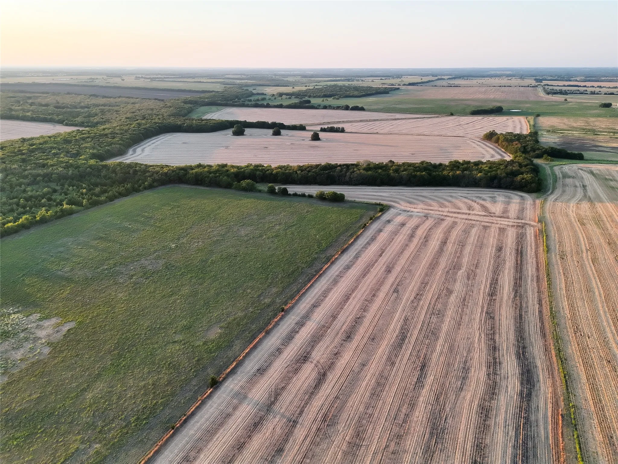 Unimproved Land For Sale in Delta County , 001 Fm 1530, Pecan Gap, Texas 75469, 0, 0, Garage spaces, 0 Sqft, built in 0, mls#21376759, Real Estate Agent in Pecan Gap, Homes For Sale in Delta county, Homes For Sale in Pecan Gap, Realtor in Pecan Gap Texas, Real Estate Brokerage Independent Realty Texas, Luminita Cordes Realtor