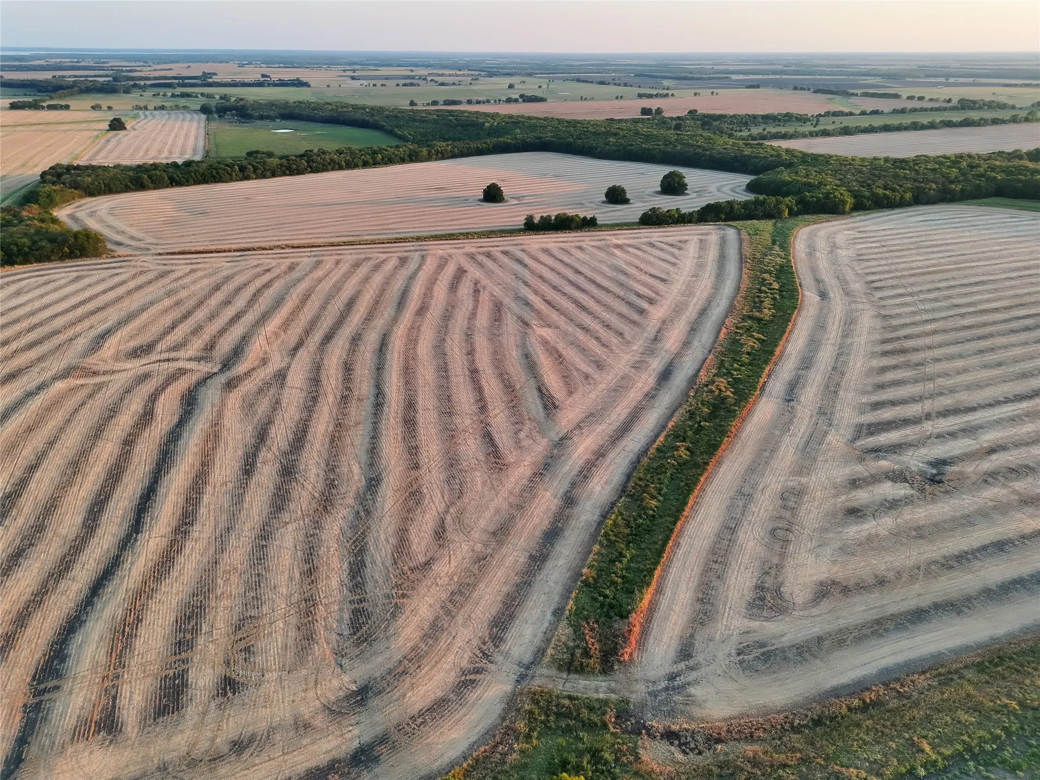 Unimproved Land For Sale in Delta County , 001 Fm 1530, Pecan Gap, Texas 75469, 0, 0, Garage spaces, 0 Sqft, built in 0, mls#21376759, Real Estate Agent in Pecan Gap, Homes For Sale in Delta county, Homes For Sale in Pecan Gap, Realtor in Pecan Gap Texas, Real Estate Brokerage Independent Realty Texas, Luminita Cordes Realtor
