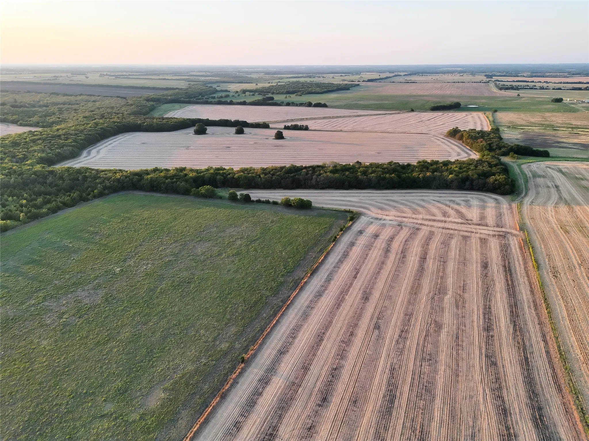 Unimproved Land For Sale in Delta County , 001 Fm 1530, Pecan Gap, Texas 75469, 0, 0, Garage spaces, 0 Sqft, built in 0, mls#21376759, Real Estate Agent in Pecan Gap, Homes For Sale in Delta county, Homes For Sale in Pecan Gap, Realtor in Pecan Gap Texas, Real Estate Brokerage Independent Realty Texas, Luminita Cordes Realtor
