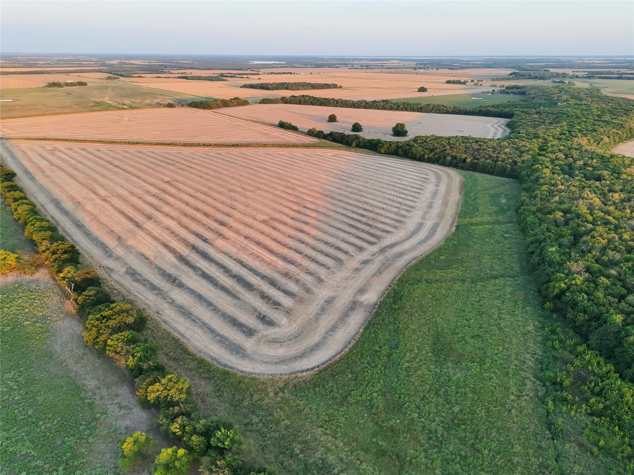 Unimproved Land For Sale in Delta County , 001 Fm 1530, Pecan Gap, Texas 75469, 0, 0, Garage spaces, 0 Sqft, built in 0, mls#21376759, Real Estate Agent in Pecan Gap, Homes For Sale in Delta county, Homes For Sale in Pecan Gap, Realtor in Pecan Gap Texas, Real Estate Brokerage Independent Realty Texas, Luminita Cordes Realtor