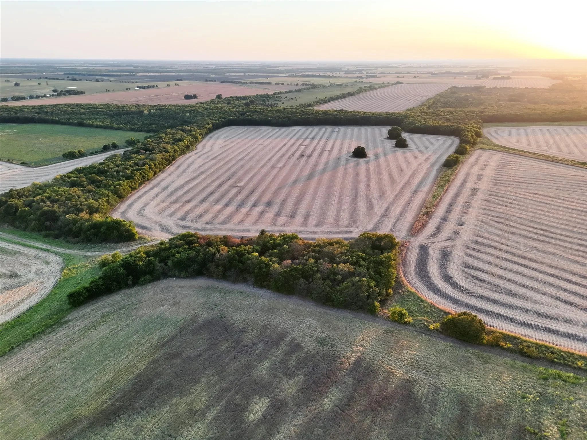 Unimproved Land For Sale in Delta County , 001 Fm 1530, Pecan Gap, Texas 75469, 0, 0, Garage spaces, 0 Sqft, built in 0, mls#21376759, Real Estate Agent in Pecan Gap, Homes For Sale in Delta county, Homes For Sale in Pecan Gap, Realtor in Pecan Gap Texas, Real Estate Brokerage Independent Realty Texas, Luminita Cordes Realtor