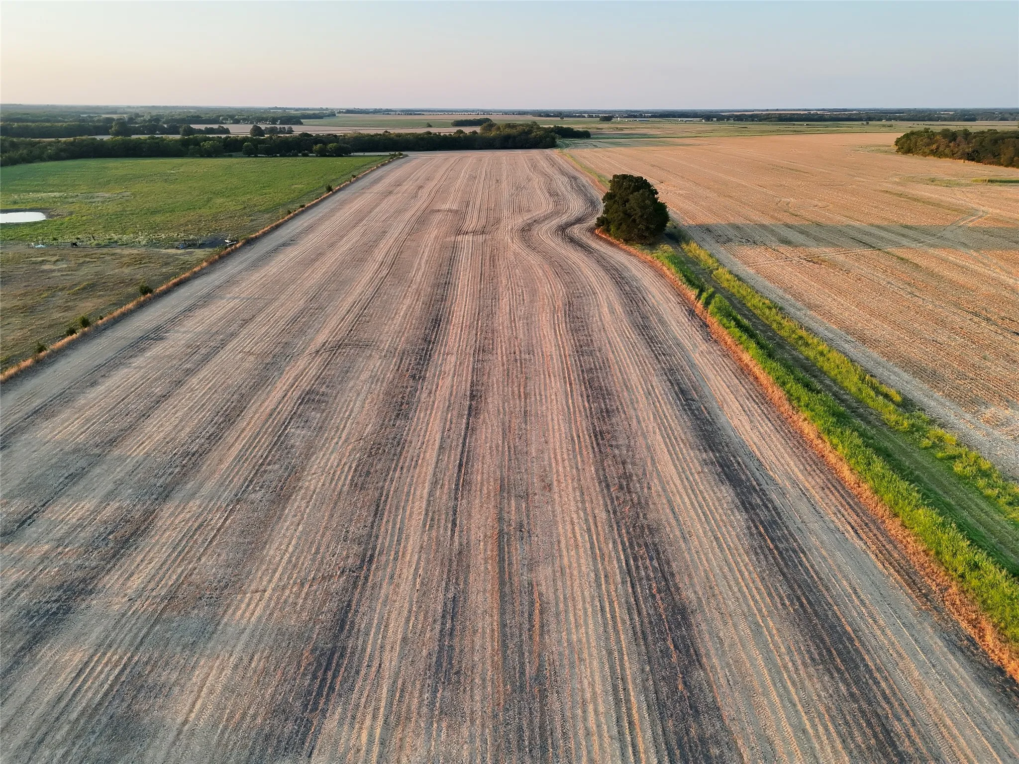 Unimproved Land For Sale in Delta County , 001 Fm 1530, Pecan Gap, Texas 75469, 0, 0, Garage spaces, 0 Sqft, built in 0, mls#21376759, Real Estate Agent in Pecan Gap, Homes For Sale in Delta county, Homes For Sale in Pecan Gap, Realtor in Pecan Gap Texas, Real Estate Brokerage Independent Realty Texas, Luminita Cordes Realtor
