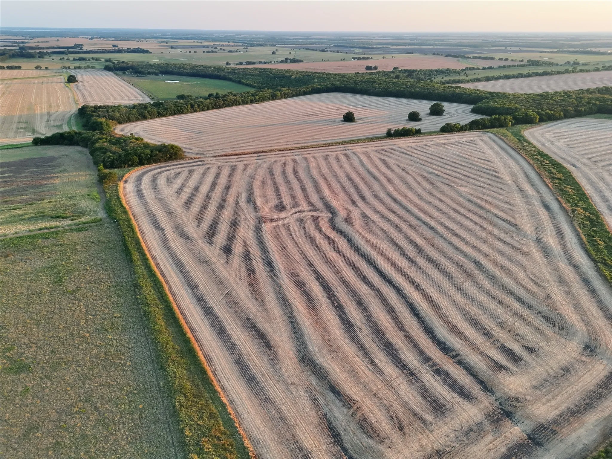 Unimproved Land For Sale in Delta County , 001 Fm 1530, Pecan Gap, Texas 75469, 0, 0, Garage spaces, 0 Sqft, built in 0, mls#21376759, Real Estate Agent in Pecan Gap, Homes For Sale in Delta county, Homes For Sale in Pecan Gap, Realtor in Pecan Gap Texas, Real Estate Brokerage Independent Realty Texas, Luminita Cordes Realtor