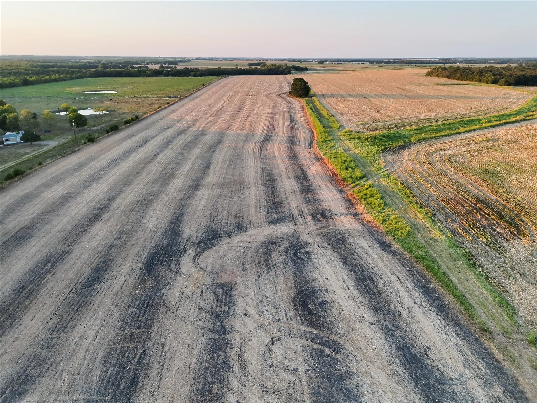 Unimproved Land For Sale in Delta County , 001 Fm 1530, Pecan Gap, Texas 75469, 0, 0, Garage spaces, 0 Sqft, built in 0, mls#21376759, Real Estate Agent in Pecan Gap, Homes For Sale in Delta county, Homes For Sale in Pecan Gap, Realtor in Pecan Gap Texas, Real Estate Brokerage Independent Realty Texas, Luminita Cordes Realtor