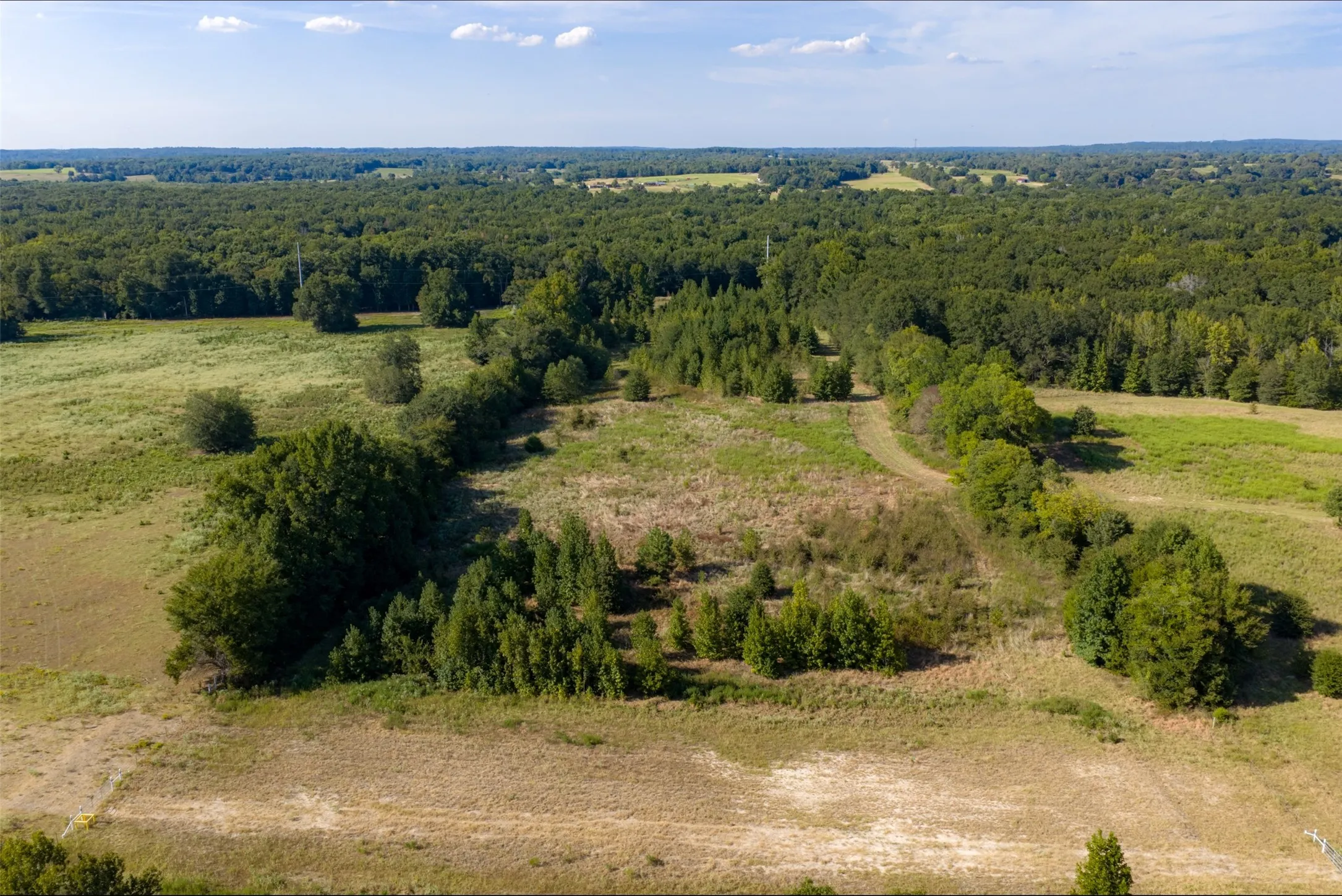 Unimproved Land For Sale in Henderson County , 0 Cr-3516, Brownsboro, Texas 75756, 0, 0, Garage spaces, 0 Sqft, built in 0, mls#21376763, Real Estate Agent in Brownsboro, Homes For Sale in Henderson county, Homes For Sale in Brownsboro, Realtor in Brownsboro Texas, Real Estate Brokerage Independent Realty Texas, Luminita Cordes Realtor