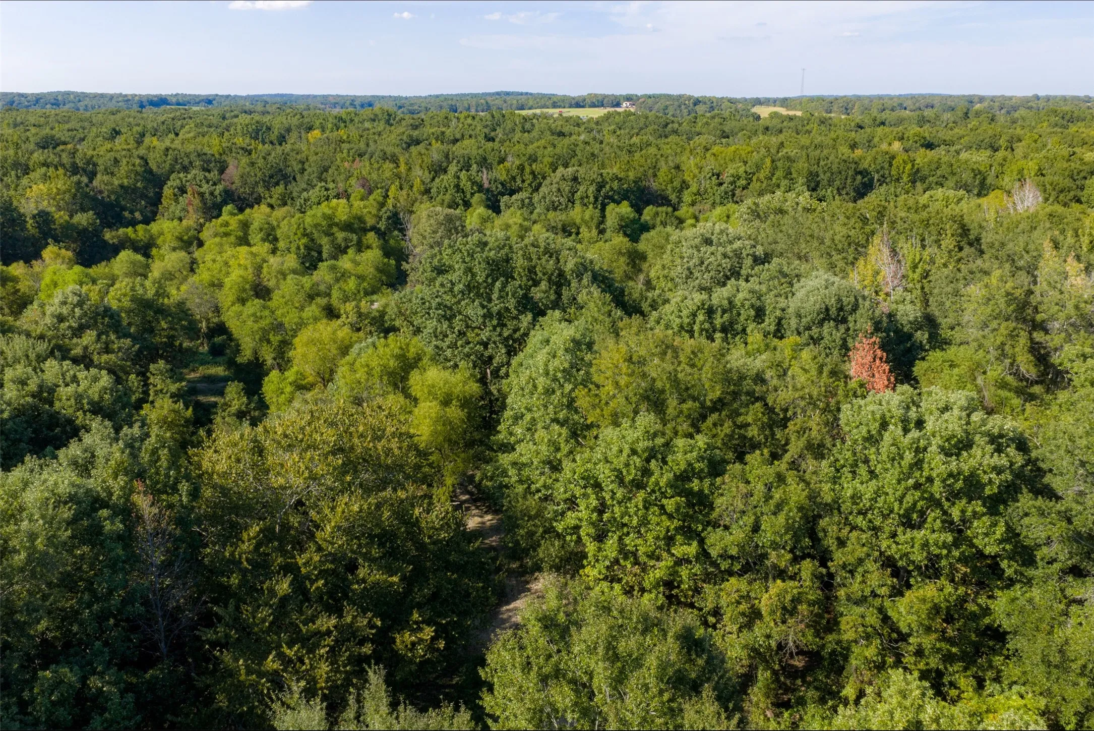 Unimproved Land For Sale in Henderson County , 0 Cr-3516, Brownsboro, Texas 75756, 0, 0, Garage spaces, 0 Sqft, built in 0, mls#21376763, Real Estate Agent in Brownsboro, Homes For Sale in Henderson county, Homes For Sale in Brownsboro, Realtor in Brownsboro Texas, Real Estate Brokerage Independent Realty Texas, Luminita Cordes Realtor