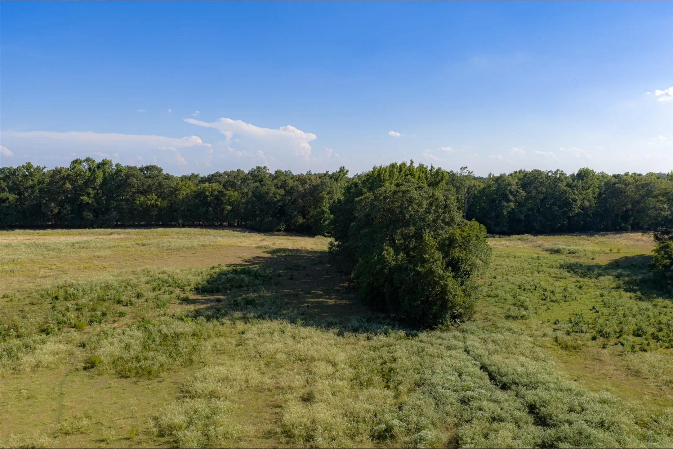 Unimproved Land For Sale in Henderson County , 0 Cr-3516, Brownsboro, Texas 75756, 0, 0, Garage spaces, 0 Sqft, built in 0, mls#21376763, Real Estate Agent in Brownsboro, Homes For Sale in Henderson county, Homes For Sale in Brownsboro, Realtor in Brownsboro Texas, Real Estate Brokerage Independent Realty Texas, Luminita Cordes Realtor