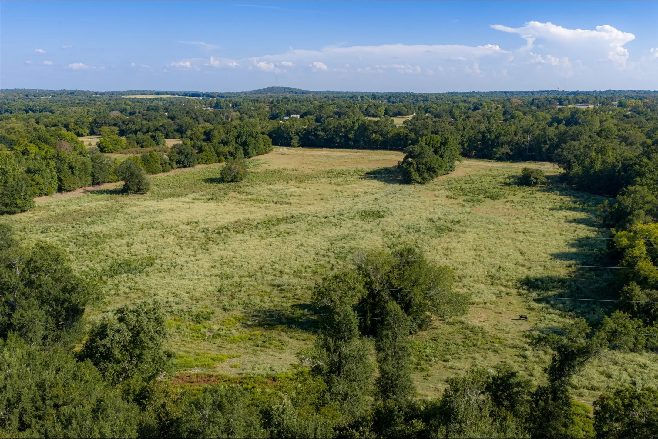 Unimproved Land For Sale in Henderson County , 0 Cr-3516, Brownsboro, Texas 75756, 0, 0, Garage spaces, 0 Sqft, built in 0, mls#21376763, Real Estate Agent in Brownsboro, Homes For Sale in Henderson county, Homes For Sale in Brownsboro, Realtor in Brownsboro Texas, Real Estate Brokerage Independent Realty Texas, Luminita Cordes Realtor