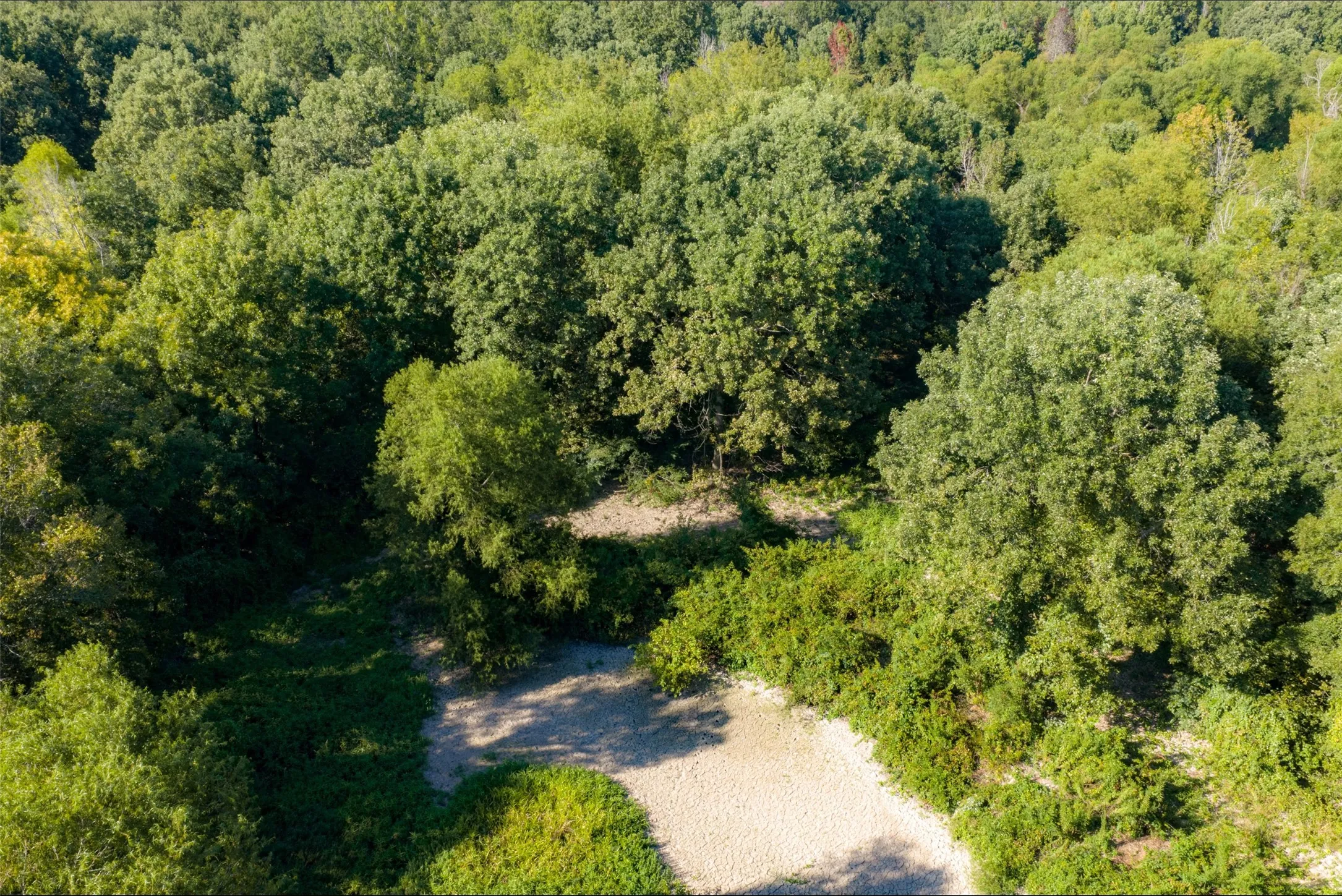 Unimproved Land For Sale in Henderson County , 0 Cr-3516, Brownsboro, Texas 75756, 0, 0, Garage spaces, 0 Sqft, built in 0, mls#21376763, Real Estate Agent in Brownsboro, Homes For Sale in Henderson county, Homes For Sale in Brownsboro, Realtor in Brownsboro Texas, Real Estate Brokerage Independent Realty Texas, Luminita Cordes Realtor