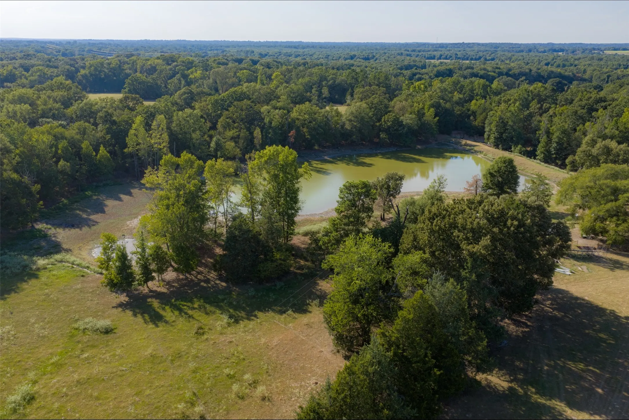 Unimproved Land For Sale in Henderson County , 0 Cr-3516, Brownsboro, Texas 75756, 0, 0, Garage spaces, 0 Sqft, built in 0, mls#21376763, Real Estate Agent in Brownsboro, Homes For Sale in Henderson county, Homes For Sale in Brownsboro, Realtor in Brownsboro Texas, Real Estate Brokerage Independent Realty Texas, Luminita Cordes Realtor