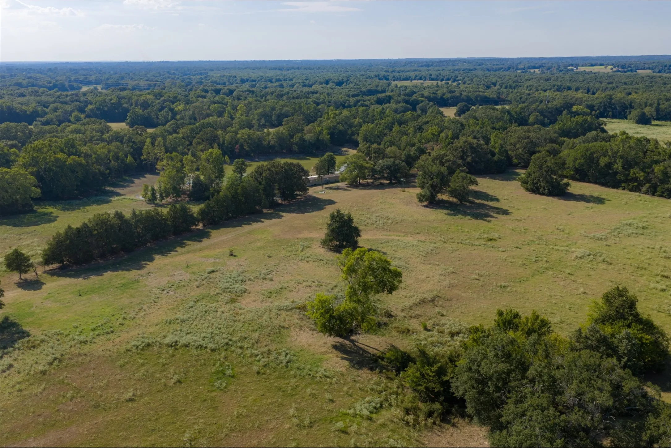 Unimproved Land For Sale in Henderson County , 0 Cr-3516, Brownsboro, Texas 75756, 0, 0, Garage spaces, 0 Sqft, built in 0, mls#21376763, Real Estate Agent in Brownsboro, Homes For Sale in Henderson county, Homes For Sale in Brownsboro, Realtor in Brownsboro Texas, Real Estate Brokerage Independent Realty Texas, Luminita Cordes Realtor