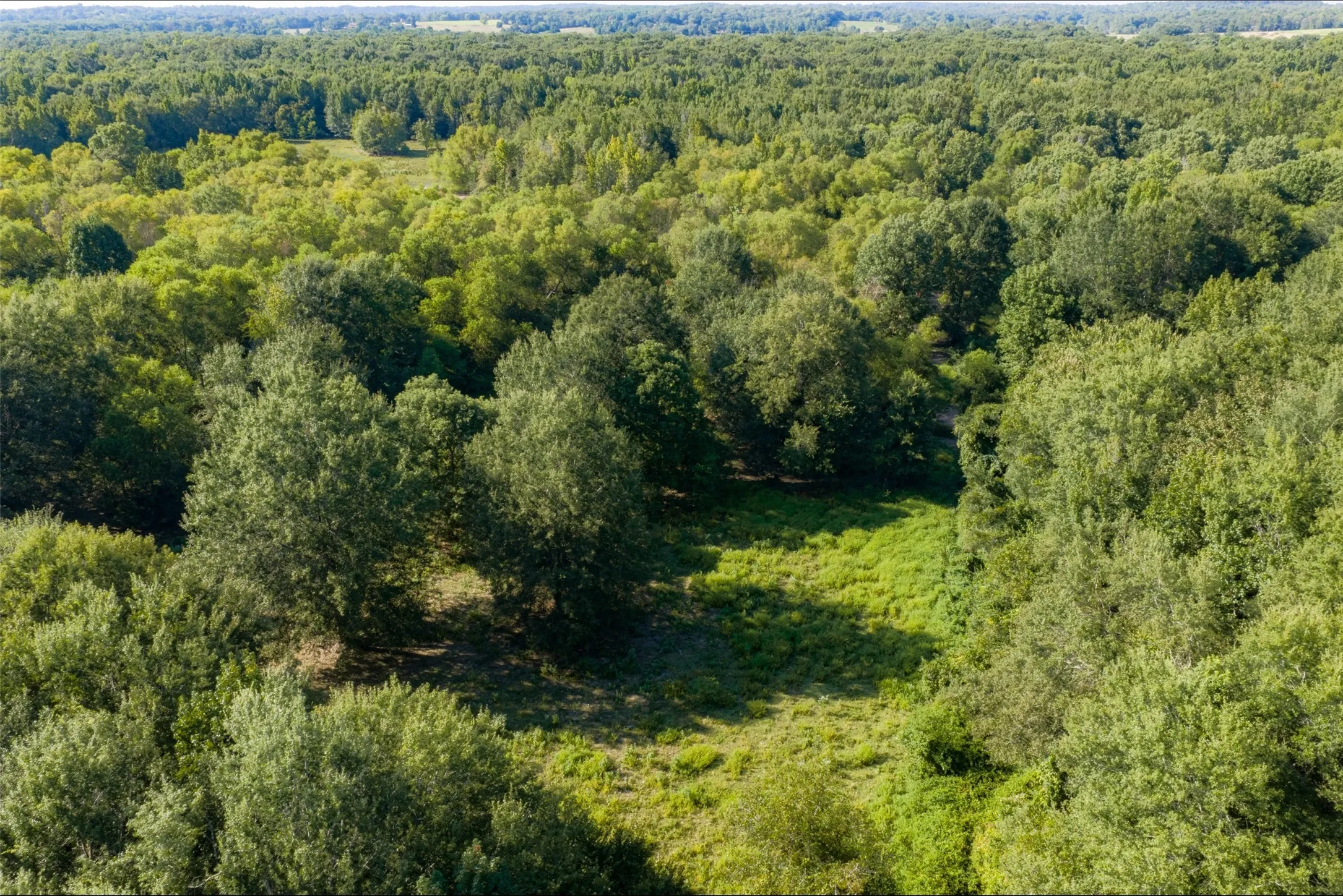 Unimproved Land For Sale in Henderson County , 0 Cr-3516, Brownsboro, Texas 75756, 0, 0, Garage spaces, 0 Sqft, built in 0, mls#21376763, Real Estate Agent in Brownsboro, Homes For Sale in Henderson county, Homes For Sale in Brownsboro, Realtor in Brownsboro Texas, Real Estate Brokerage Independent Realty Texas, Luminita Cordes Realtor