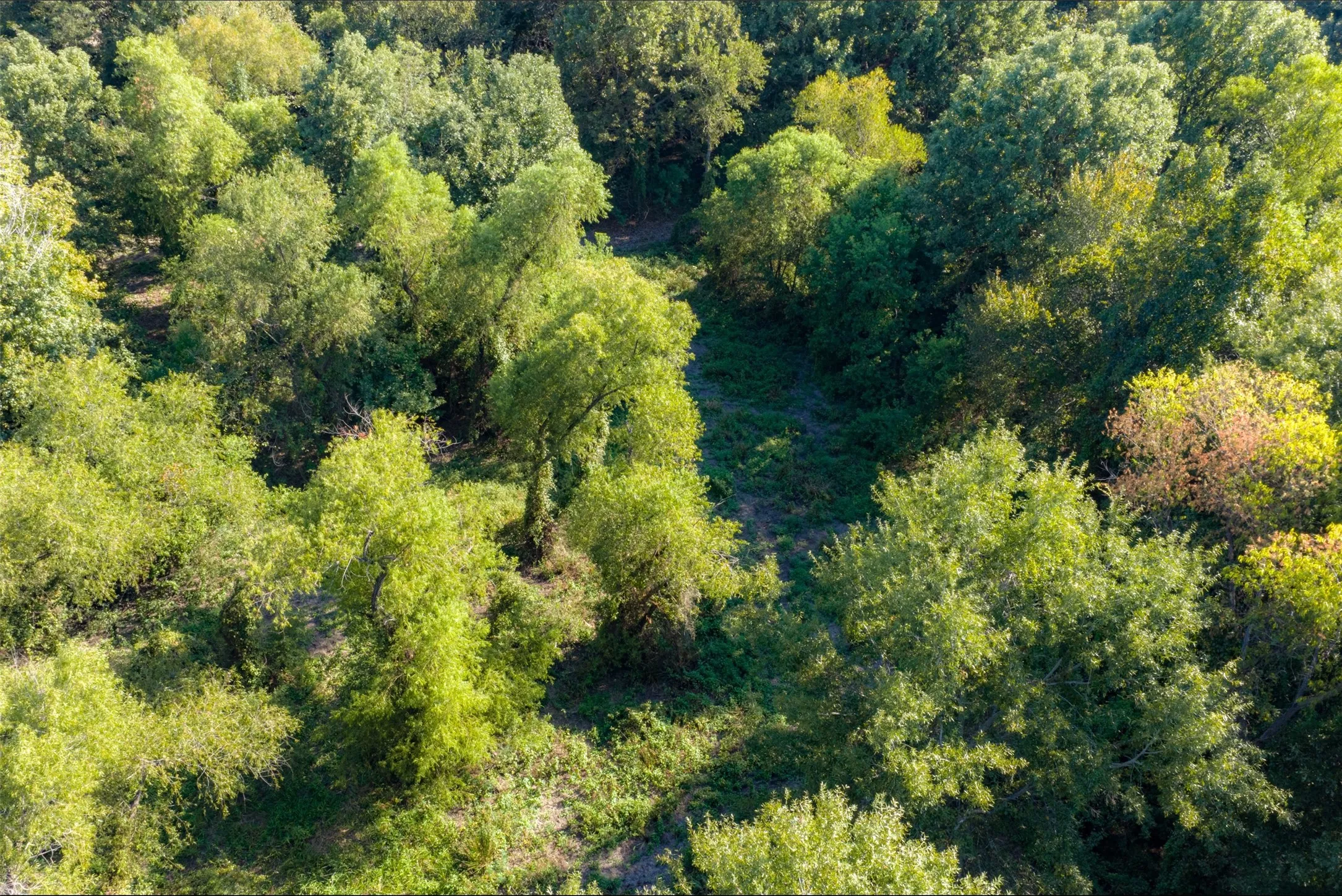 Unimproved Land For Sale in Henderson County , 0 Cr-3516, Brownsboro, Texas 75756, 0, 0, Garage spaces, 0 Sqft, built in 0, mls#21376763, Real Estate Agent in Brownsboro, Homes For Sale in Henderson county, Homes For Sale in Brownsboro, Realtor in Brownsboro Texas, Real Estate Brokerage Independent Realty Texas, Luminita Cordes Realtor