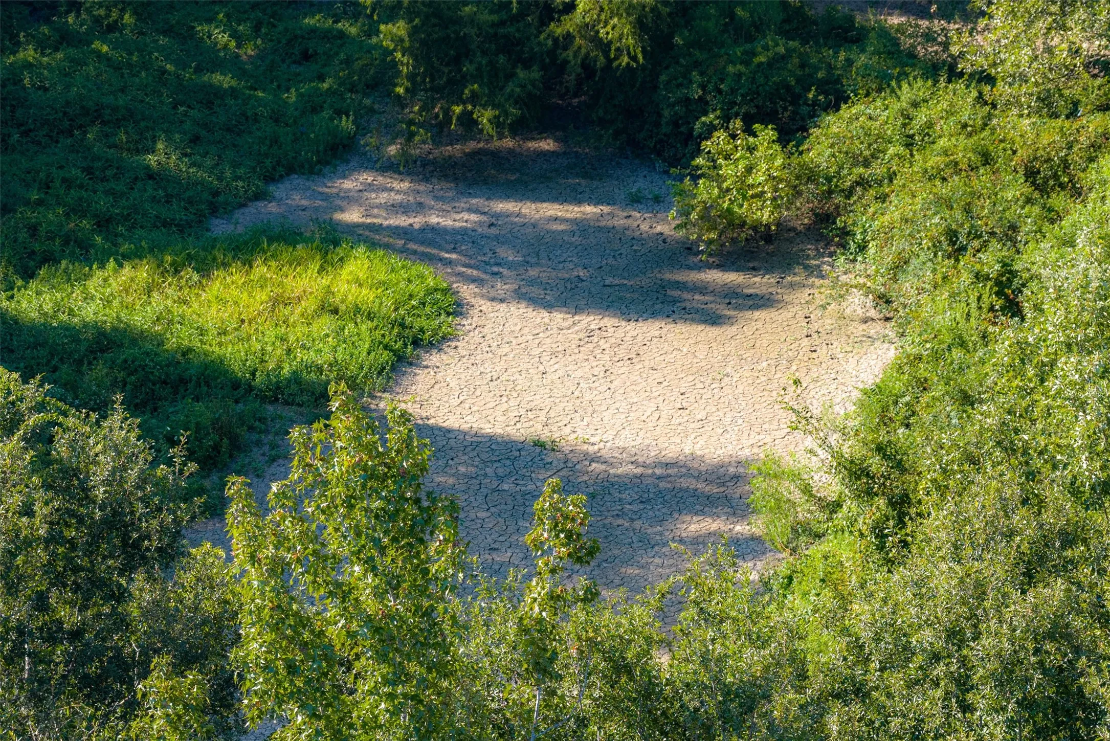 Unimproved Land For Sale in Henderson County , 0 Cr-3516, Brownsboro, Texas 75756, 0, 0, Garage spaces, 0 Sqft, built in 0, mls#21376763, Real Estate Agent in Brownsboro, Homes For Sale in Henderson county, Homes For Sale in Brownsboro, Realtor in Brownsboro Texas, Real Estate Brokerage Independent Realty Texas, Luminita Cordes Realtor