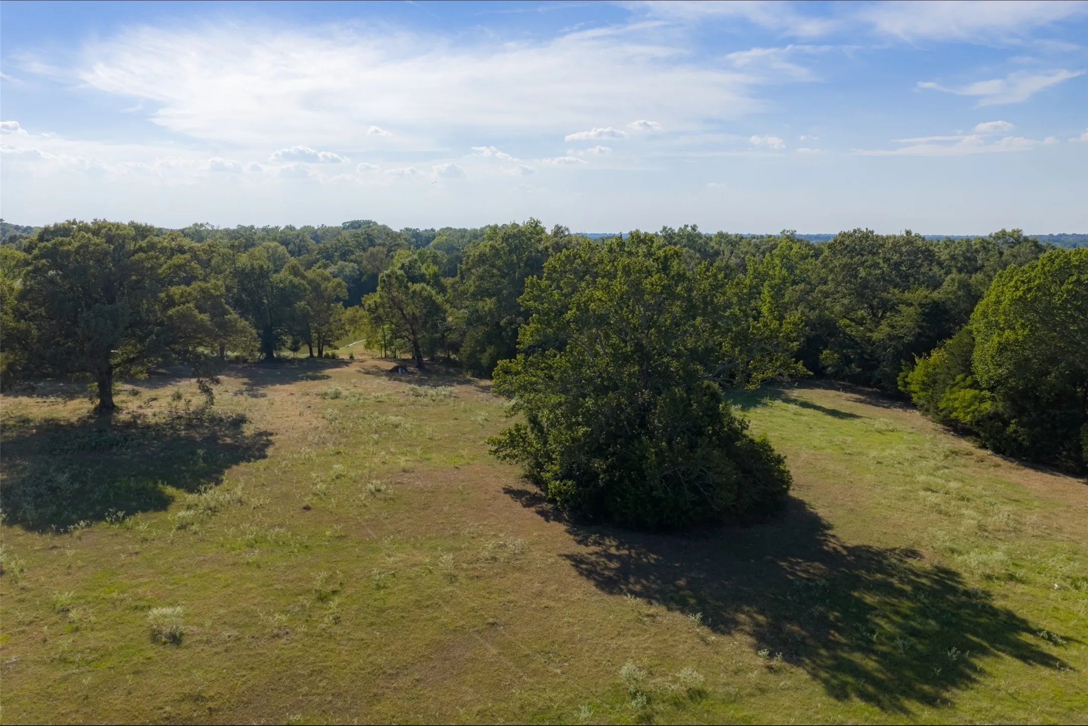 Unimproved Land For Sale in Henderson County , 0 Cr-3516, Brownsboro, Texas 75756, 0, 0, Garage spaces, 0 Sqft, built in 0, mls#21376763, Real Estate Agent in Brownsboro, Homes For Sale in Henderson county, Homes For Sale in Brownsboro, Realtor in Brownsboro Texas, Real Estate Brokerage Independent Realty Texas, Luminita Cordes Realtor