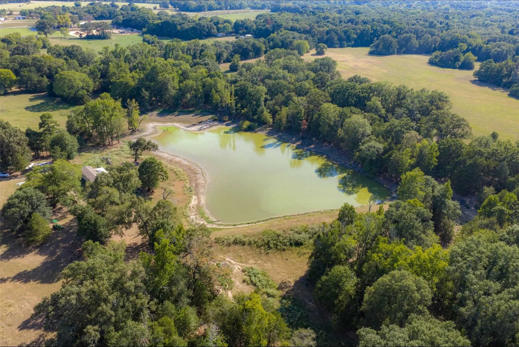Unimproved Land For Sale in Henderson County , 0 Cr-3516, Brownsboro, Texas 75756, 0, 0, Garage spaces, 0 Sqft, built in 0, mls#21376763, Real Estate Agent in Brownsboro, Homes For Sale in Henderson county, Homes For Sale in Brownsboro, Realtor in Brownsboro Texas, Real Estate Brokerage Independent Realty Texas, Luminita Cordes Realtor