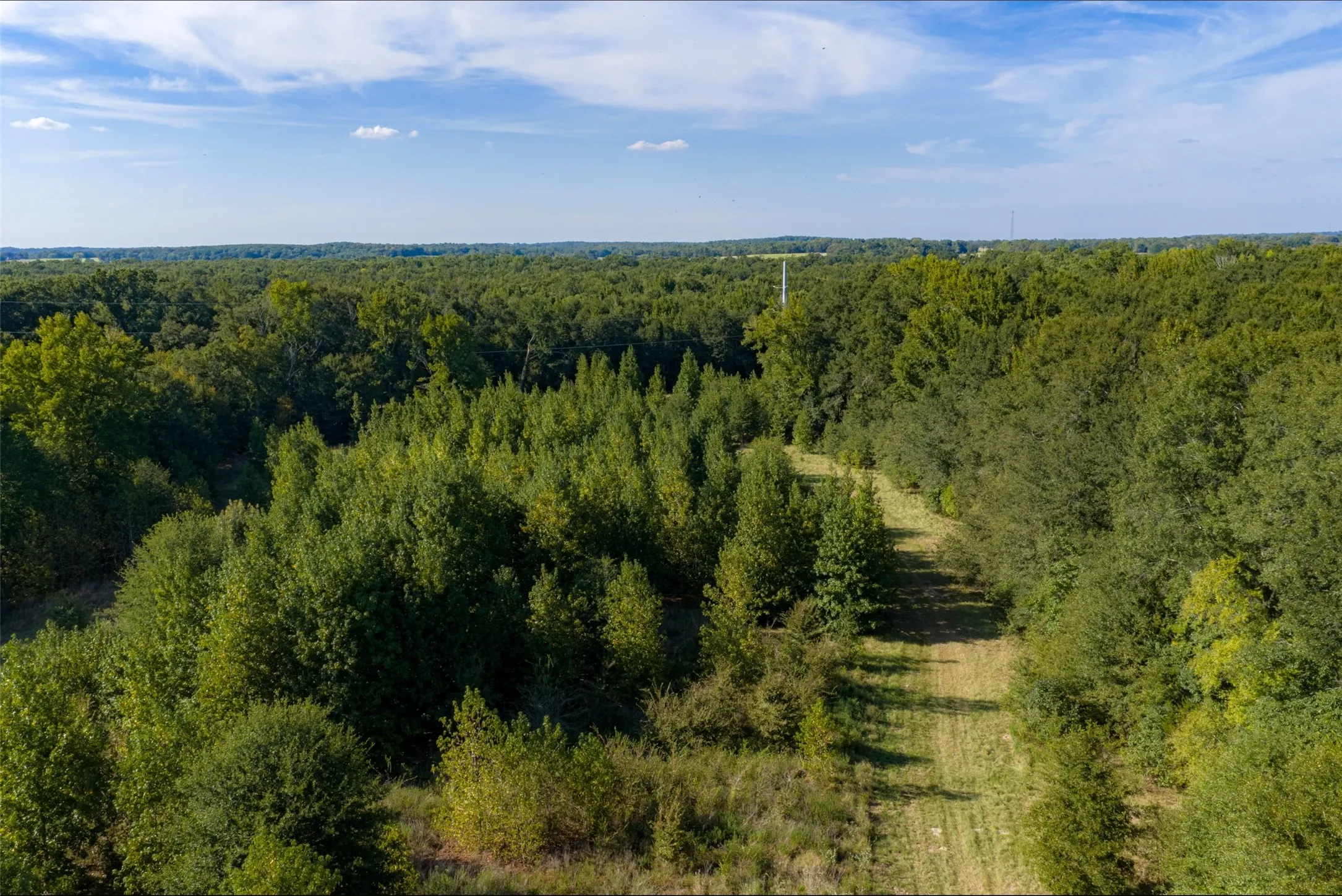 Unimproved Land For Sale in Henderson County , 0 Cr-3516, Brownsboro, Texas 75756, 0, 0, Garage spaces, 0 Sqft, built in 0, mls#21376763, Real Estate Agent in Brownsboro, Homes For Sale in Henderson county, Homes For Sale in Brownsboro, Realtor in Brownsboro Texas, Real Estate Brokerage Independent Realty Texas, Luminita Cordes Realtor