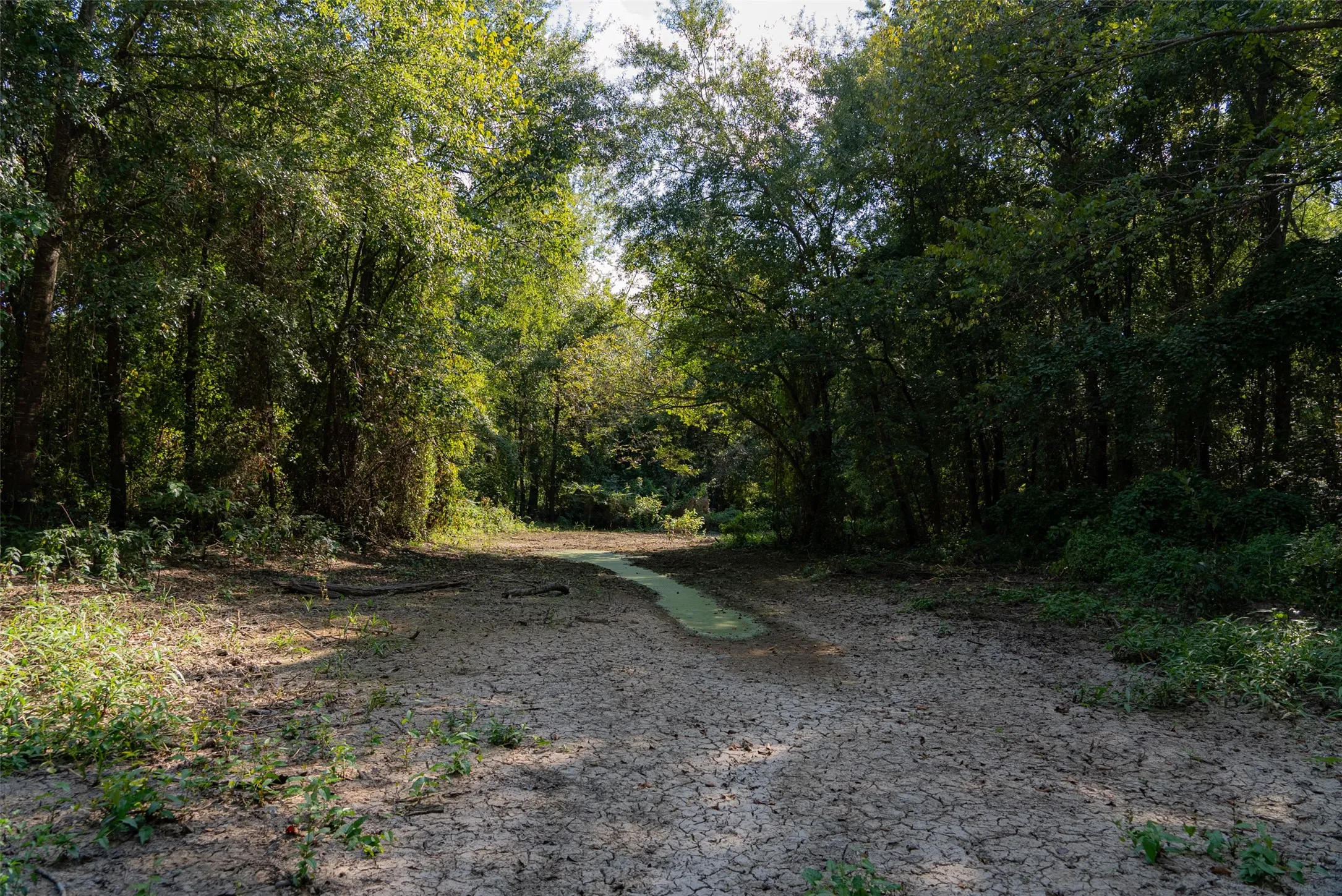 Unimproved Land For Sale in Henderson County , 0 Cr-3516, Brownsboro, Texas 75756, 0, 0, Garage spaces, 0 Sqft, built in 0, mls#21376763, Real Estate Agent in Brownsboro, Homes For Sale in Henderson county, Homes For Sale in Brownsboro, Realtor in Brownsboro Texas, Real Estate Brokerage Independent Realty Texas, Luminita Cordes Realtor
