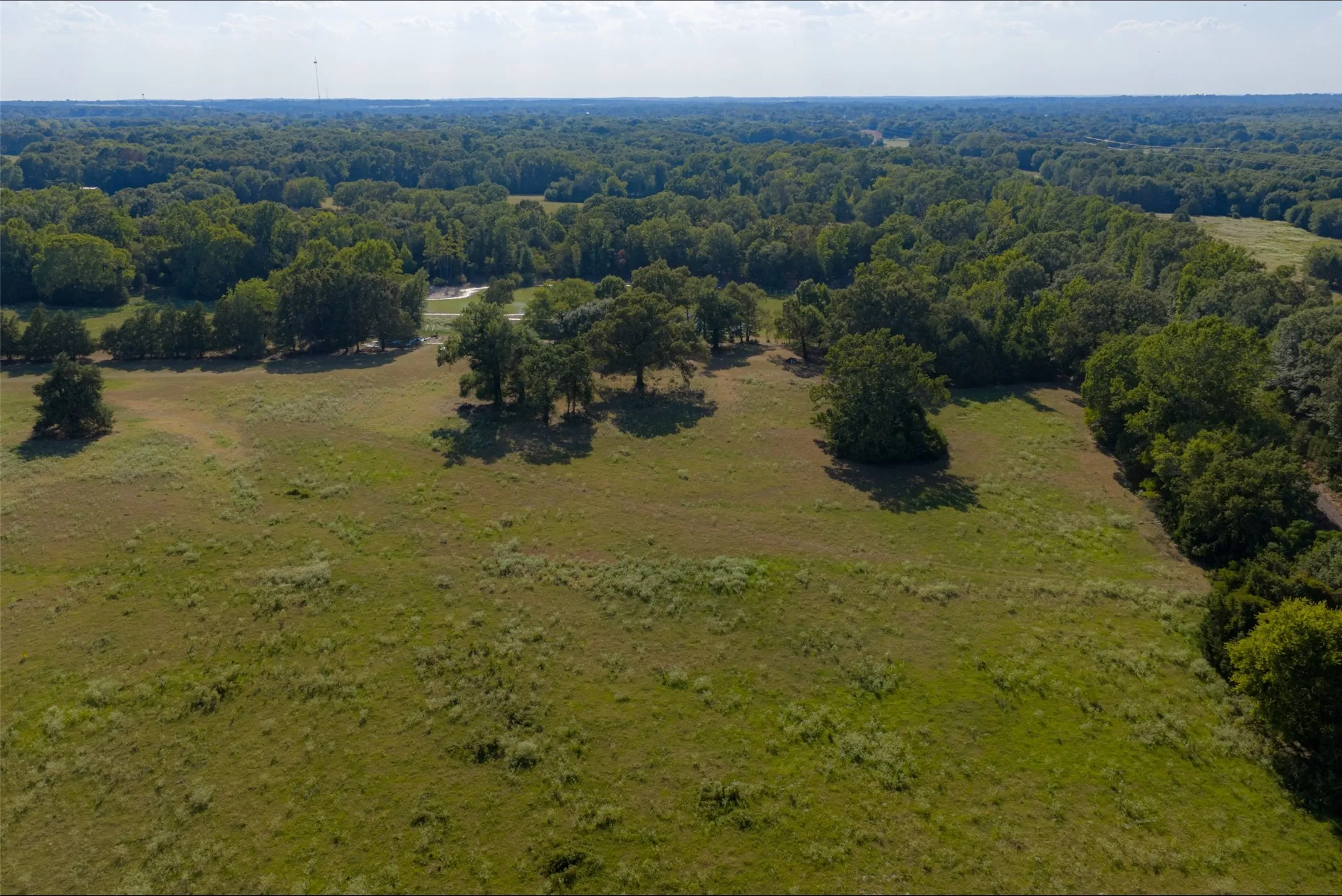 Unimproved Land For Sale in Henderson County , 0 Cr-3516, Brownsboro, Texas 75756, 0, 0, Garage spaces, 0 Sqft, built in 0, mls#21376763, Real Estate Agent in Brownsboro, Homes For Sale in Henderson county, Homes For Sale in Brownsboro, Realtor in Brownsboro Texas, Real Estate Brokerage Independent Realty Texas, Luminita Cordes Realtor