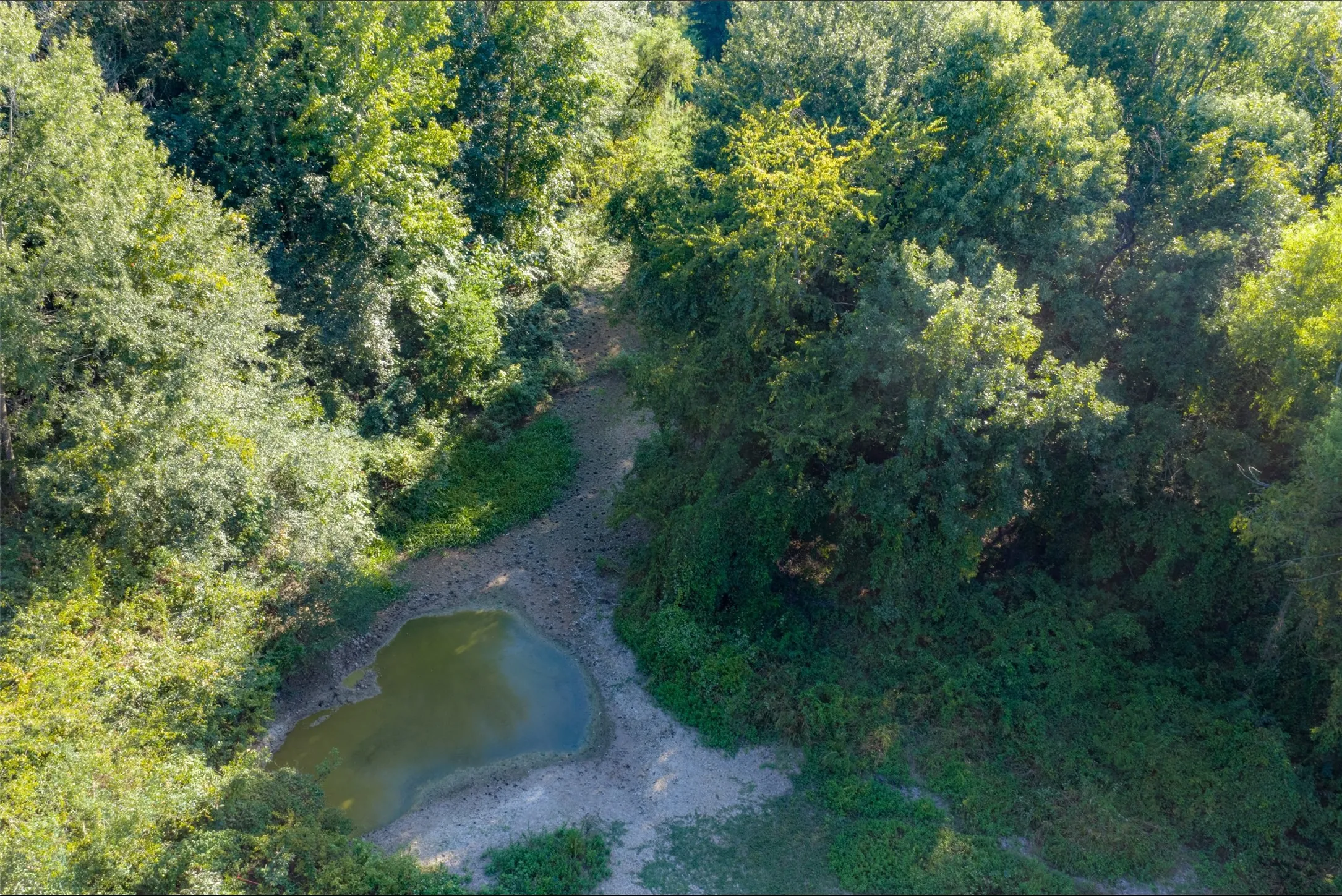 Unimproved Land For Sale in Henderson County , 0 Cr-3516, Brownsboro, Texas 75756, 0, 0, Garage spaces, 0 Sqft, built in 0, mls#21376763, Real Estate Agent in Brownsboro, Homes For Sale in Henderson county, Homes For Sale in Brownsboro, Realtor in Brownsboro Texas, Real Estate Brokerage Independent Realty Texas, Luminita Cordes Realtor
