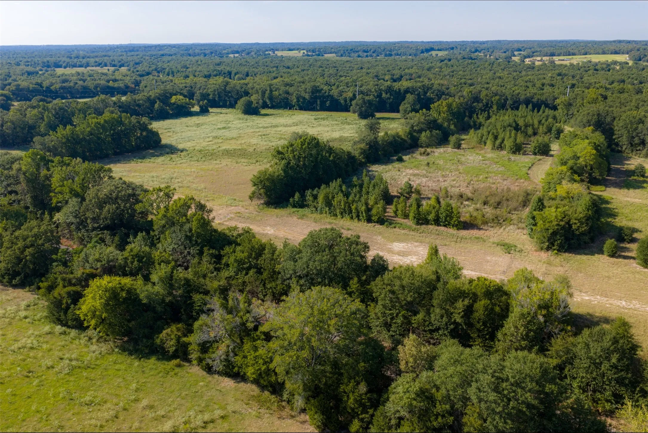 Unimproved Land For Sale in Henderson County , 0 Cr-3516, Brownsboro, Texas 75756, 0, 0, Garage spaces, 0 Sqft, built in 0, mls#21376763, Real Estate Agent in Brownsboro, Homes For Sale in Henderson county, Homes For Sale in Brownsboro, Realtor in Brownsboro Texas, Real Estate Brokerage Independent Realty Texas, Luminita Cordes Realtor