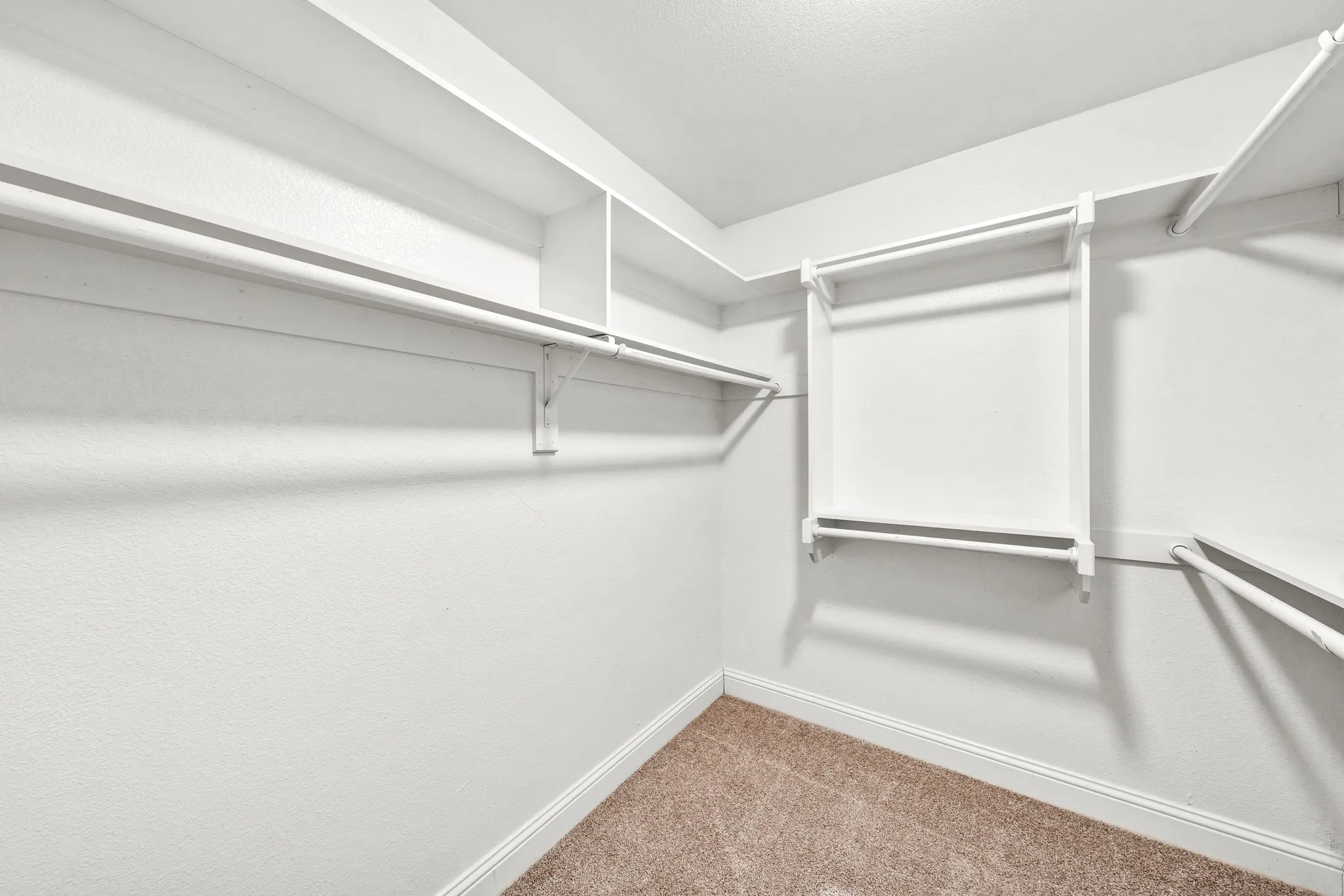 Walk-in closet featuring built-in shelving, multiple hanging rods, and carpet flooring