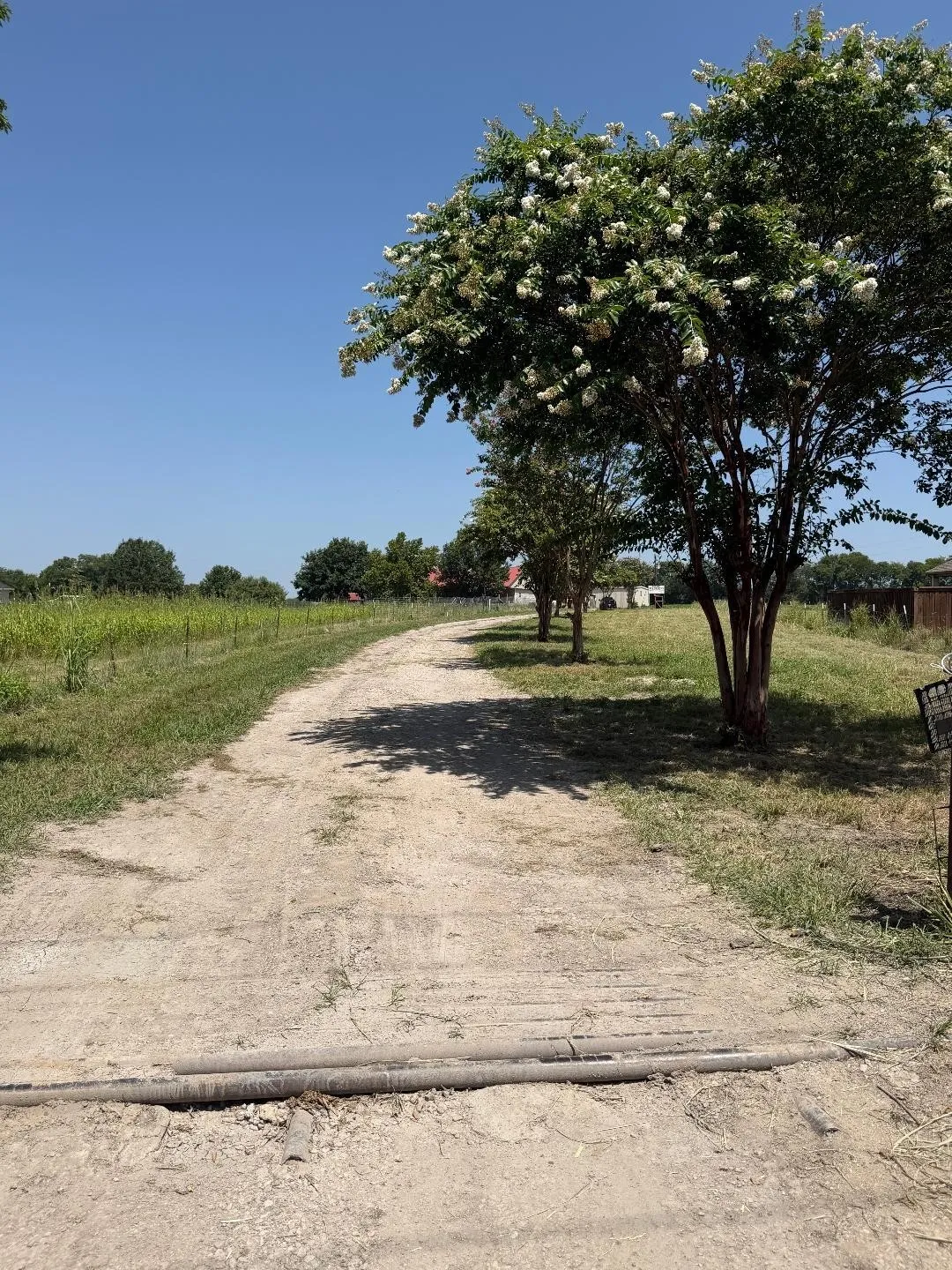 Manufactured Home For Sale in Fannin County , 14050 S State Highway 78, Leonard, Texas 75452, 4 Bedroom, 3 Bathroom, Garage spaces, 2,280 Sqft, built in 2003, mls#21376810, Real Estate Agent in Leonard, Homes For Sale in Fannin county, Homes For Sale in Leonard, Realtor in Leonard Texas, Real Estate Brokerage Independent Realty Texas, Luminita Cordes Realtor