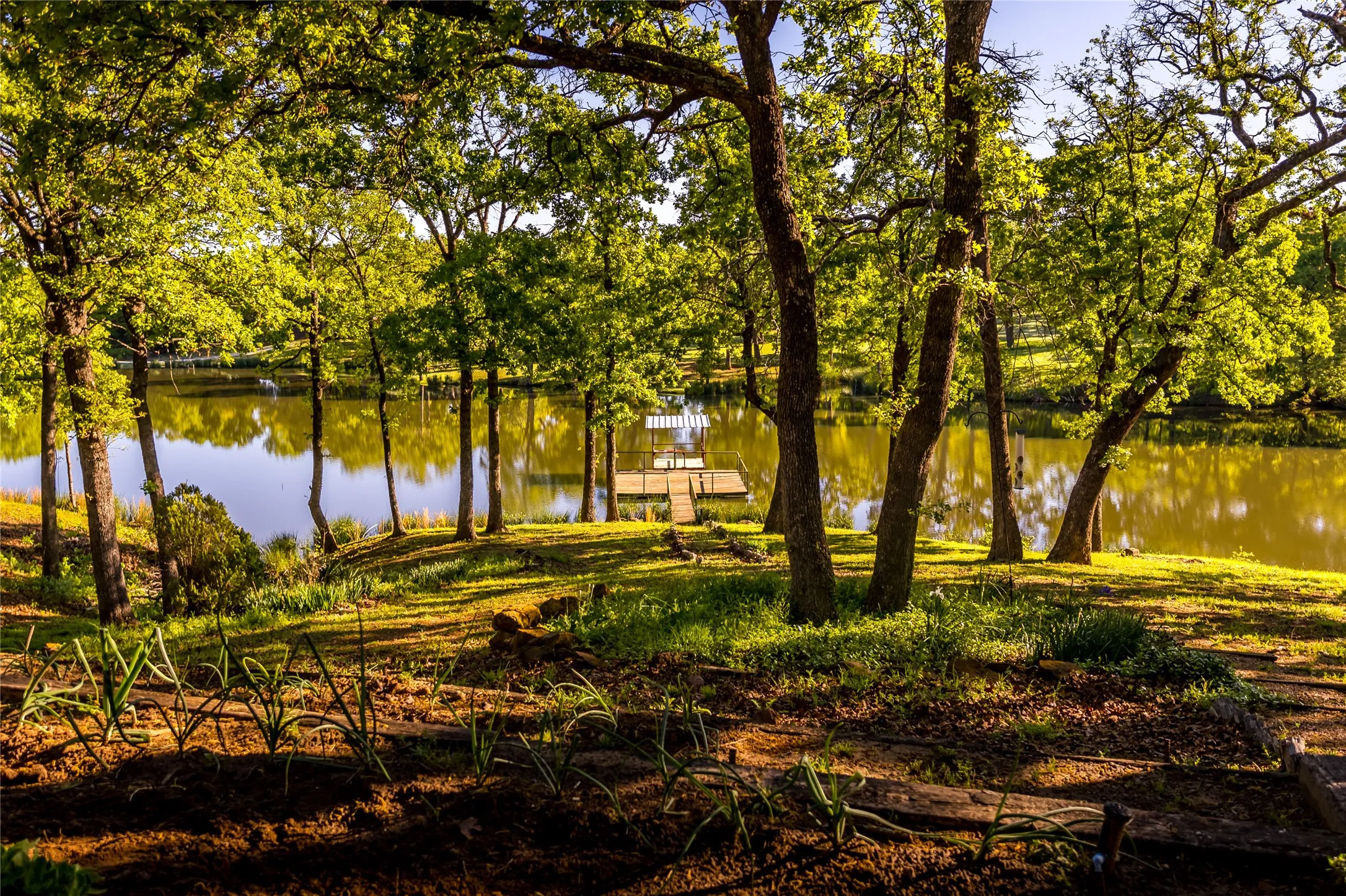 Farm For Sale in Grayson County , 1838 Liberty Road, Gordonville, Texas 76245, 4 Bedroom, 4 Bathroom, Garage spaces, 2,411 Sqft, built in 2003, mls#21376755, Real Estate Agent in Gordonville, Homes For Sale in Grayson county, Homes For Sale in Gordonville, Realtor in Gordonville Texas, Real Estate Brokerage Independent Realty Texas, Luminita Cordes Realtor