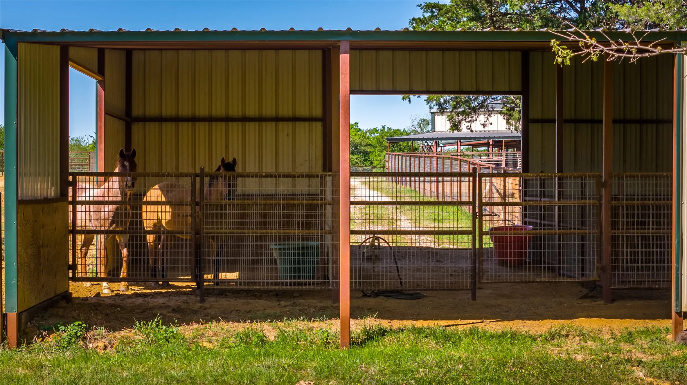 Farm For Sale in Grayson County , 1838 Liberty Road, Gordonville, Texas 76245, 4 Bedroom, 4 Bathroom, Garage spaces, 2,411 Sqft, built in 2003, mls#21376755, Real Estate Agent in Gordonville, Homes For Sale in Grayson county, Homes For Sale in Gordonville, Realtor in Gordonville Texas, Real Estate Brokerage Independent Realty Texas, Luminita Cordes Realtor