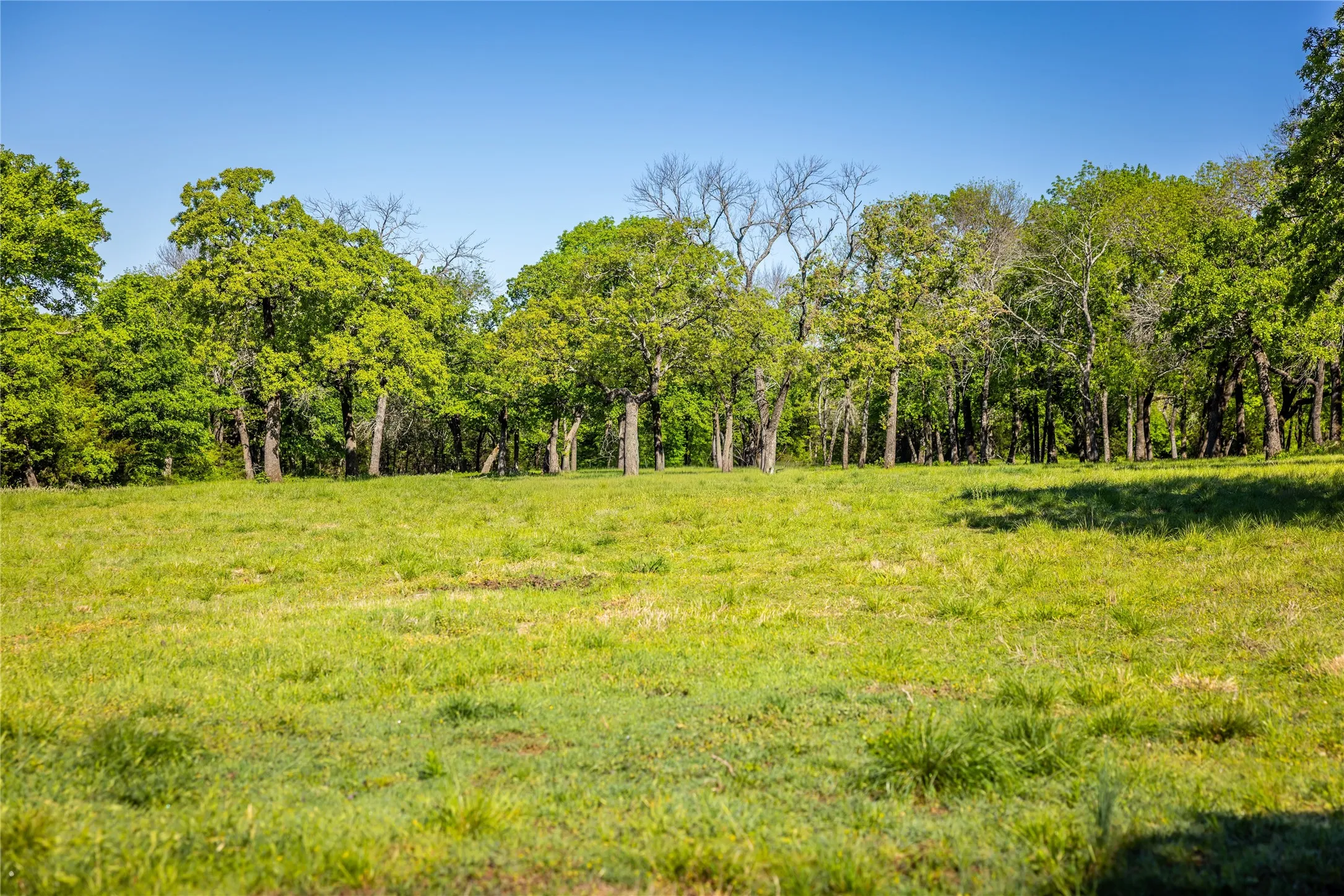 Farm For Sale in Grayson County , 1838 Liberty Road, Gordonville, Texas 76245, 4 Bedroom, 4 Bathroom, Garage spaces, 2,411 Sqft, built in 2003, mls#21376755, Real Estate Agent in Gordonville, Homes For Sale in Grayson county, Homes For Sale in Gordonville, Realtor in Gordonville Texas, Real Estate Brokerage Independent Realty Texas, Luminita Cordes Realtor
