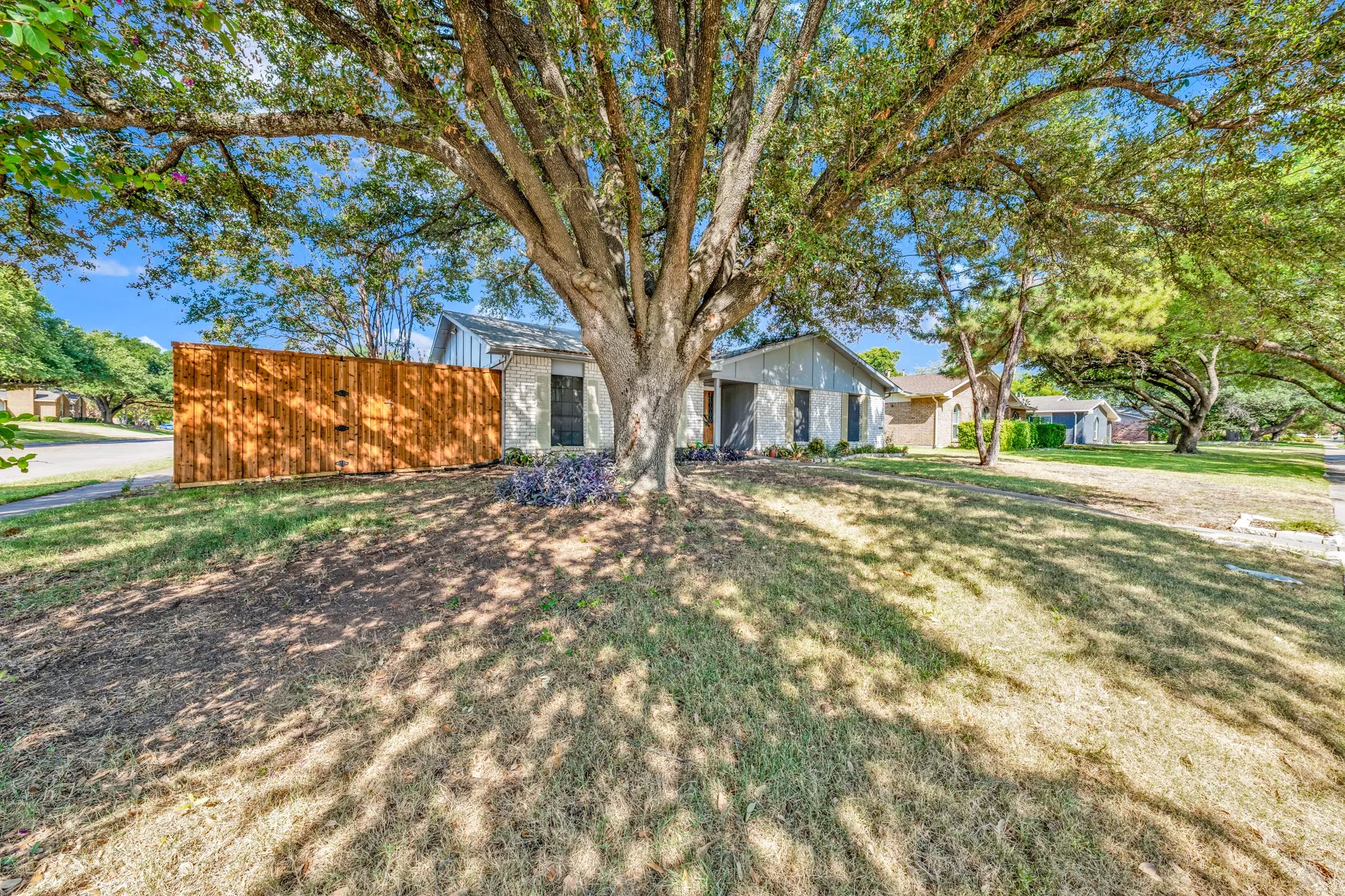 Mature trees provide ample shade to the front yard