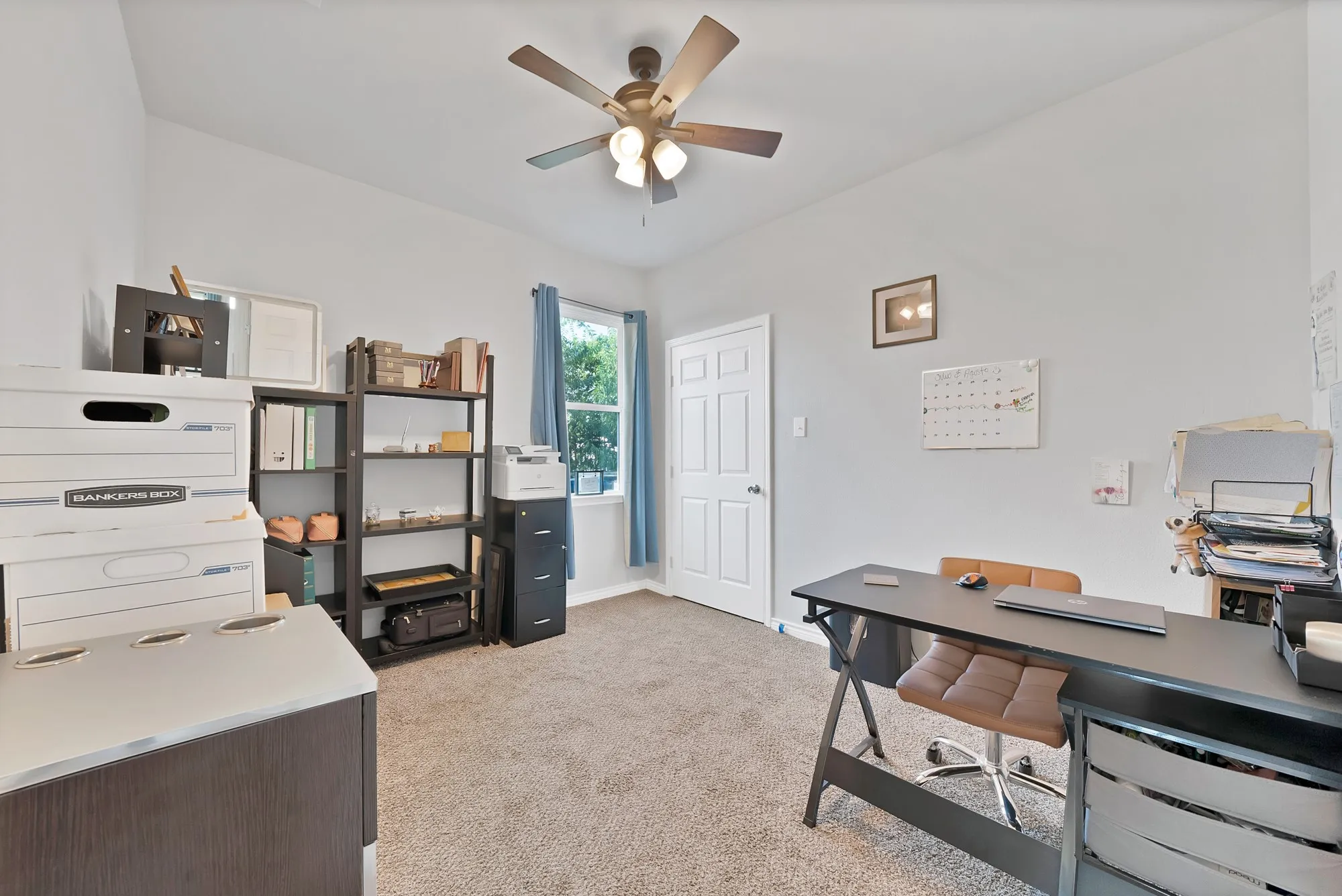 Carpeted room with a ceiling fan, a window with blue curtains, and a paneled door