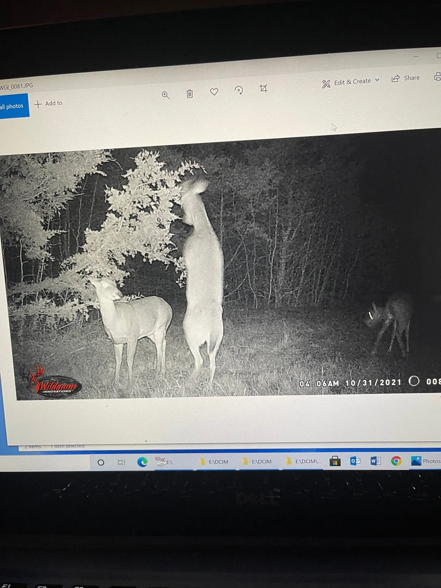 Unimproved Land For Sale in Red River (TX) County , 0000 CR 2374, Detroit, Texas 75436, 0, 0, Garage spaces, 0 Sqft, built in 0, mls#21324891, Real Estate Agent in Detroit, Homes For Sale in Red River (TX) county, Homes For Sale in Detroit, Realtor in Detroit Texas, Real Estate Brokerage Independent Realty Texas, Luminita Cordes Realtor