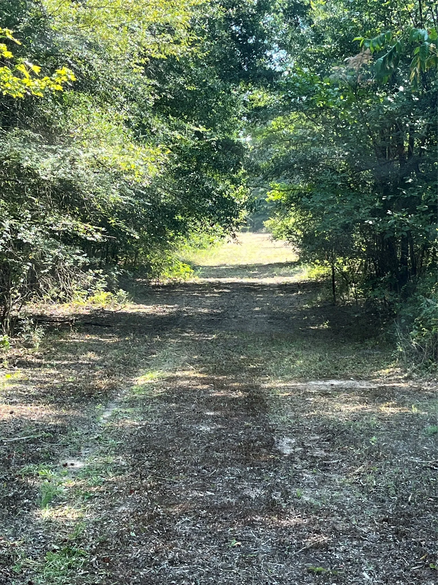 Unimproved Land For Sale in Red River (TX) County , 0000 CR 2374, Detroit, Texas 75436, 0, 0, Garage spaces, 0 Sqft, built in 0, mls#21324891, Real Estate Agent in Detroit, Homes For Sale in Red River (TX) county, Homes For Sale in Detroit, Realtor in Detroit Texas, Real Estate Brokerage Independent Realty Texas, Luminita Cordes Realtor
