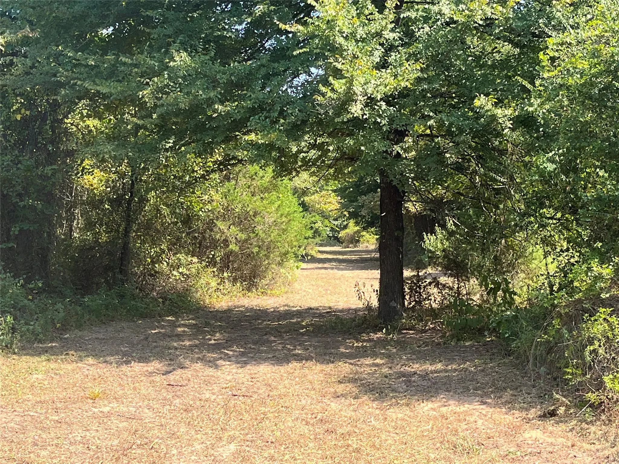Unimproved Land For Sale in Red River (TX) County , 0000 CR 2374, Detroit, Texas 75436, 0, 0, Garage spaces, 0 Sqft, built in 0, mls#21324891, Real Estate Agent in Detroit, Homes For Sale in Red River (TX) county, Homes For Sale in Detroit, Realtor in Detroit Texas, Real Estate Brokerage Independent Realty Texas, Luminita Cordes Realtor
