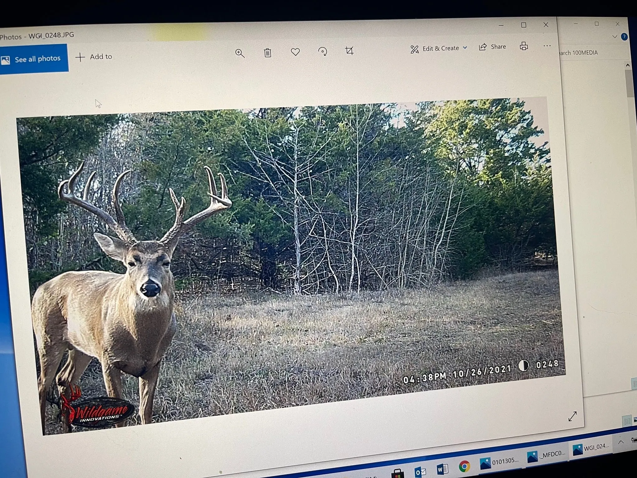 Unimproved Land For Sale in Red River (TX) County , 0000 CR 2374, Detroit, Texas 75436, 0, 0, Garage spaces, 0 Sqft, built in 0, mls#21324891, Real Estate Agent in Detroit, Homes For Sale in Red River (TX) county, Homes For Sale in Detroit, Realtor in Detroit Texas, Real Estate Brokerage Independent Realty Texas, Luminita Cordes Realtor
