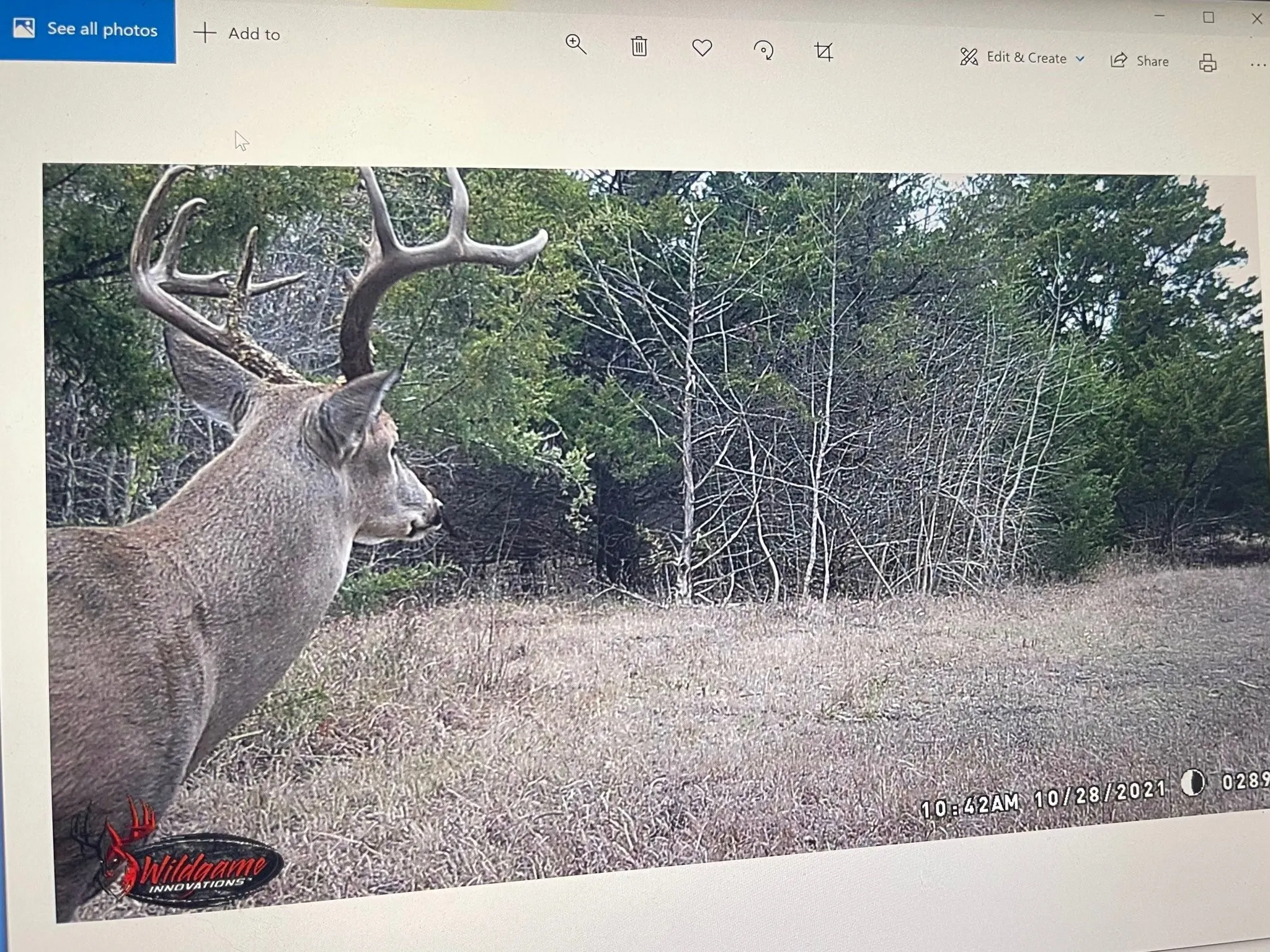 Unimproved Land For Sale in Red River (TX) County , 0000 CR 2374, Detroit, Texas 75436, 0, 0, Garage spaces, 0 Sqft, built in 0, mls#21324891, Real Estate Agent in Detroit, Homes For Sale in Red River (TX) county, Homes For Sale in Detroit, Realtor in Detroit Texas, Real Estate Brokerage Independent Realty Texas, Luminita Cordes Realtor