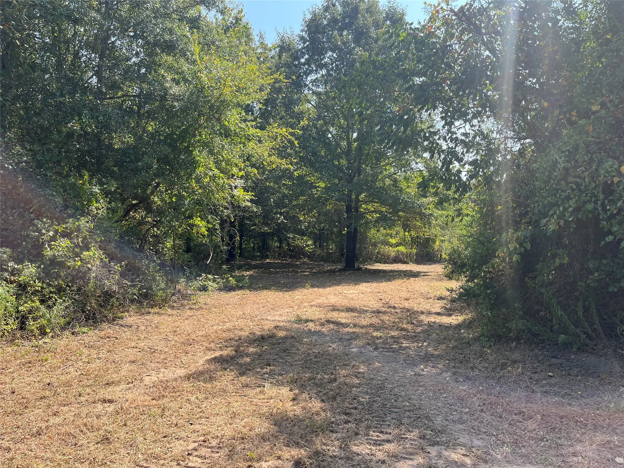 Unimproved Land For Sale in Red River (TX) County , 0000 CR 2374, Detroit, Texas 75436, 0, 0, Garage spaces, 0 Sqft, built in 0, mls#21324891, Real Estate Agent in Detroit, Homes For Sale in Red River (TX) county, Homes For Sale in Detroit, Realtor in Detroit Texas, Real Estate Brokerage Independent Realty Texas, Luminita Cordes Realtor