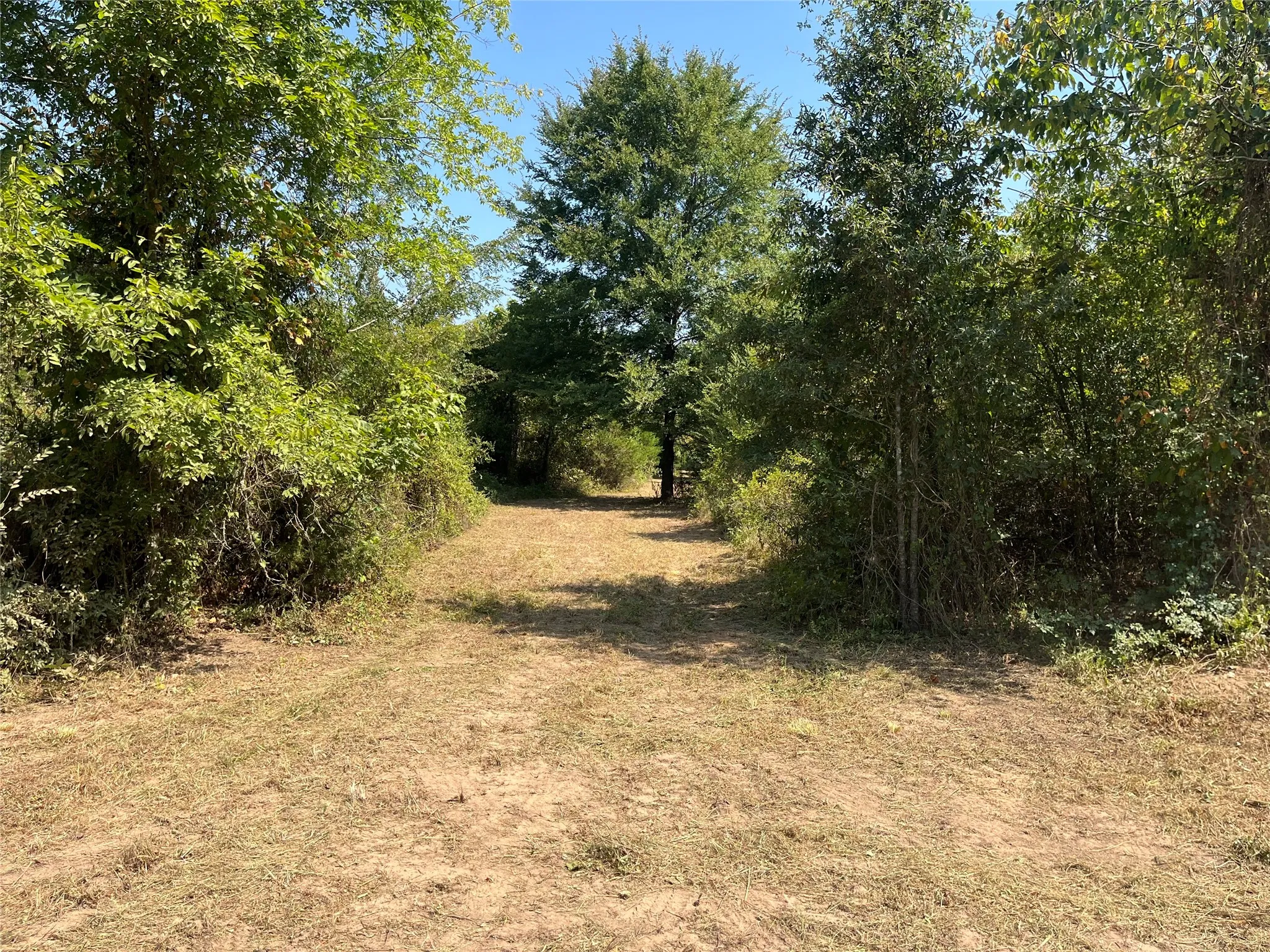 Unimproved Land For Sale in Red River (TX) County , 0000 CR 2374, Detroit, Texas 75436, 0, 0, Garage spaces, 0 Sqft, built in 0, mls#21324891, Real Estate Agent in Detroit, Homes For Sale in Red River (TX) county, Homes For Sale in Detroit, Realtor in Detroit Texas, Real Estate Brokerage Independent Realty Texas, Luminita Cordes Realtor